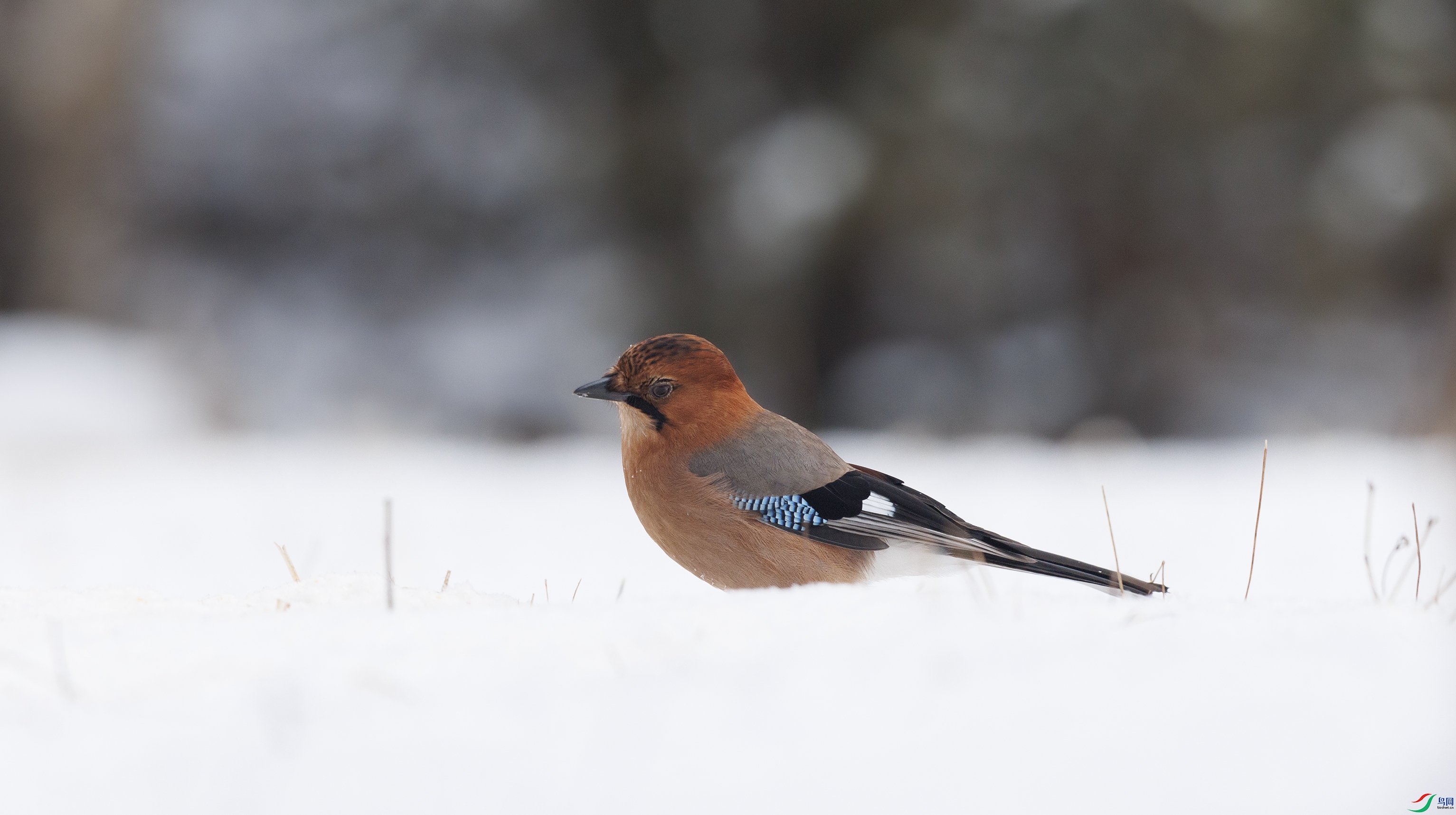 7X5A8126 ����4444.jpg