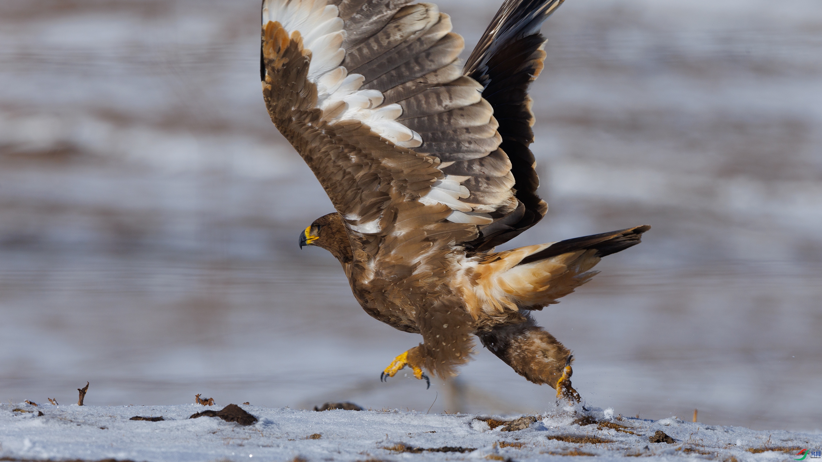 7X5A1398 ����444.jpg