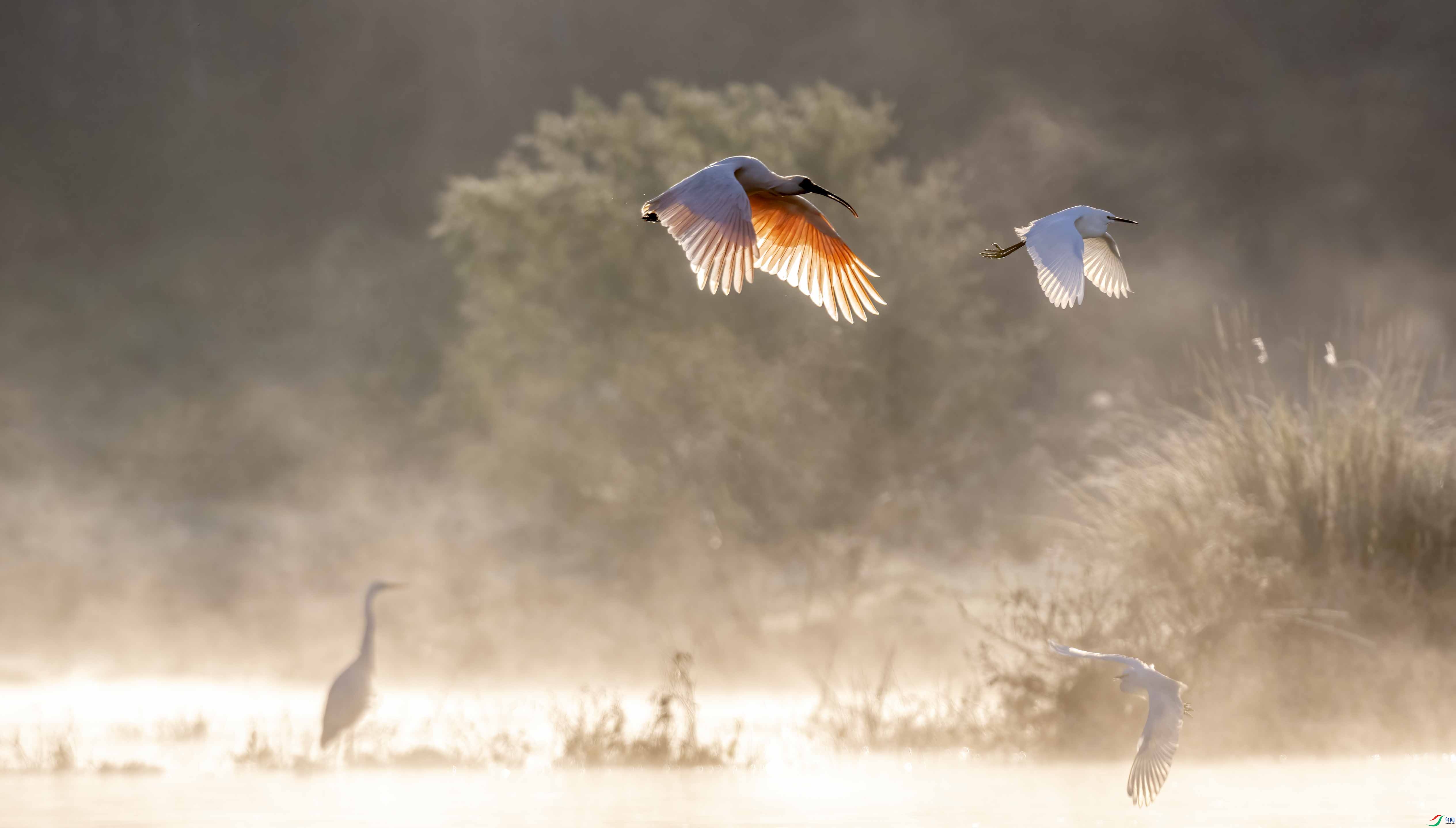 DSC_7974 ����.jpg