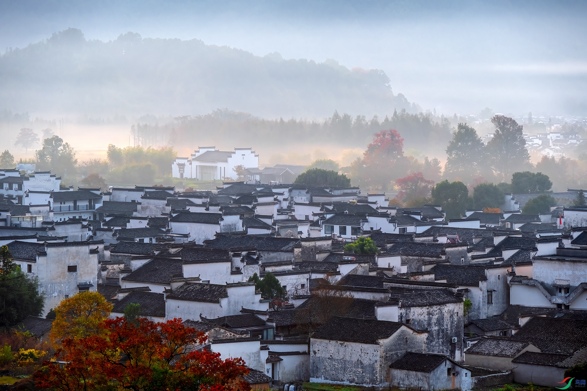 DSC_7451- ¬�峿��.jpg