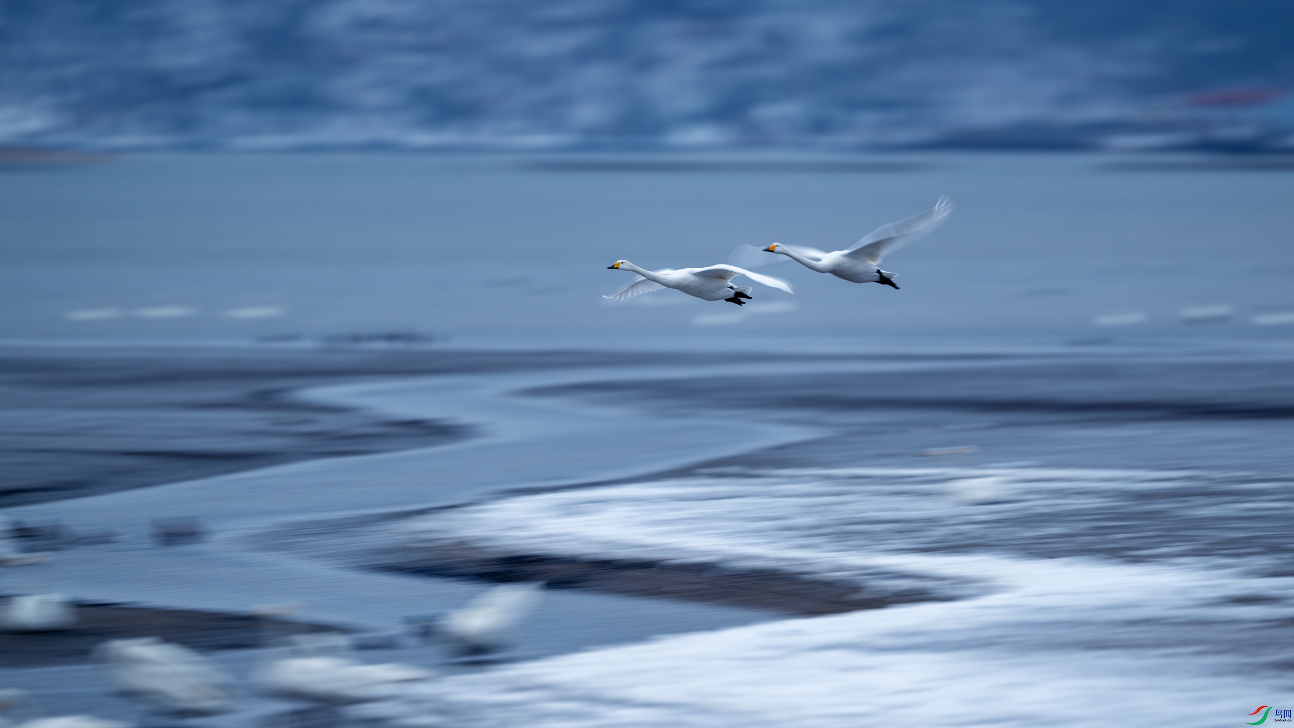 �����϶�