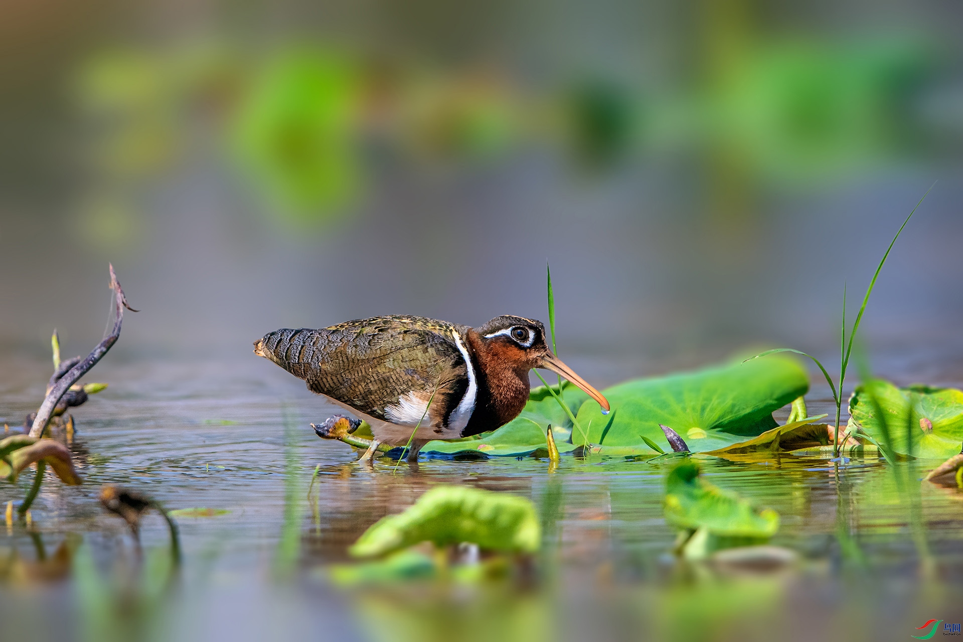 _AUU2289����(24.5.4).jpg