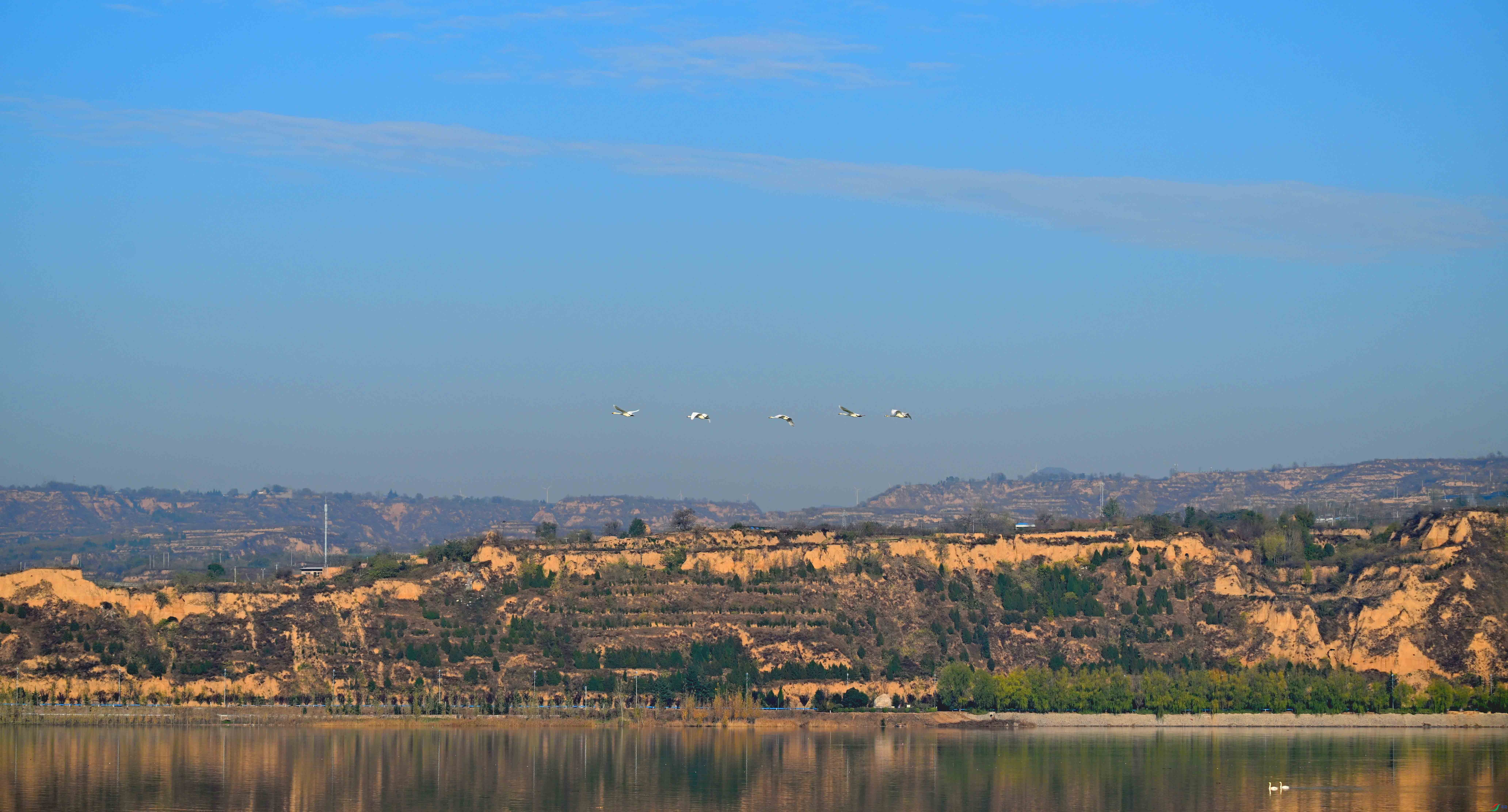 DSC_6750 ����.jpg