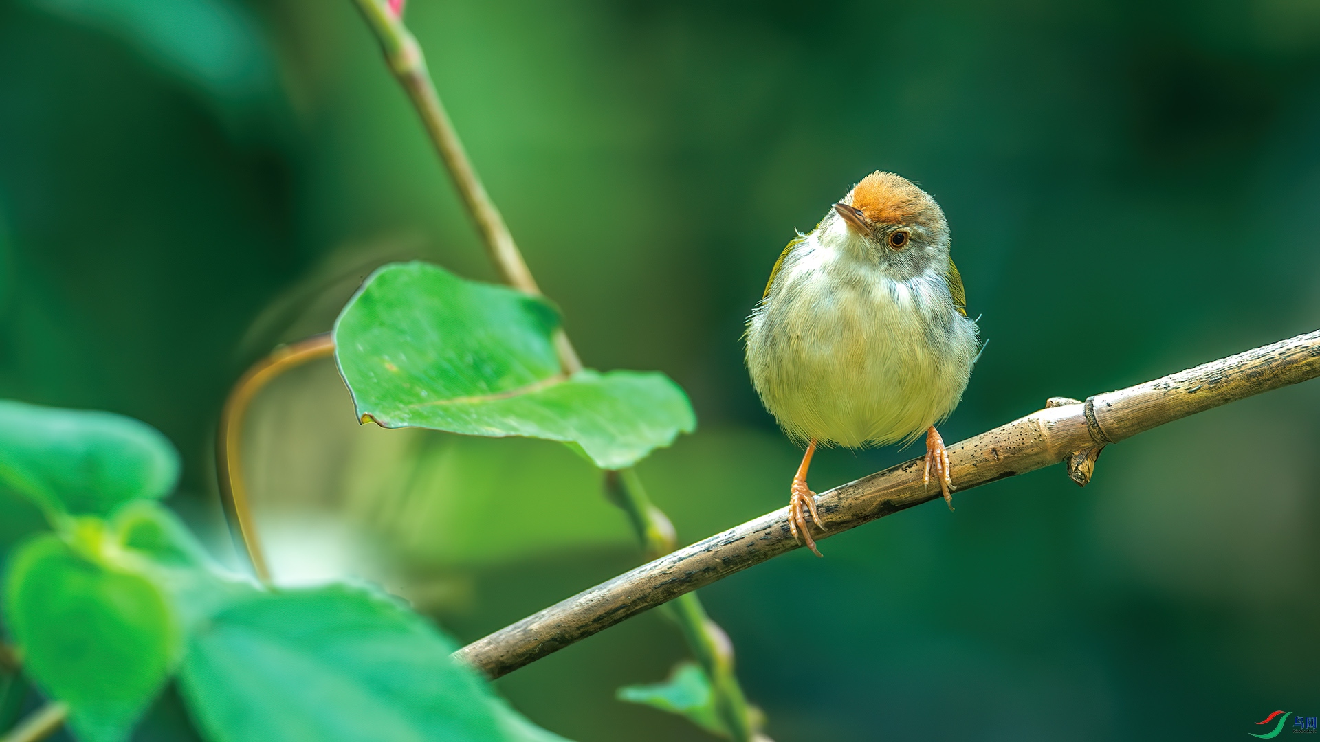 DSC_3340-����ǿ-NR.jpg