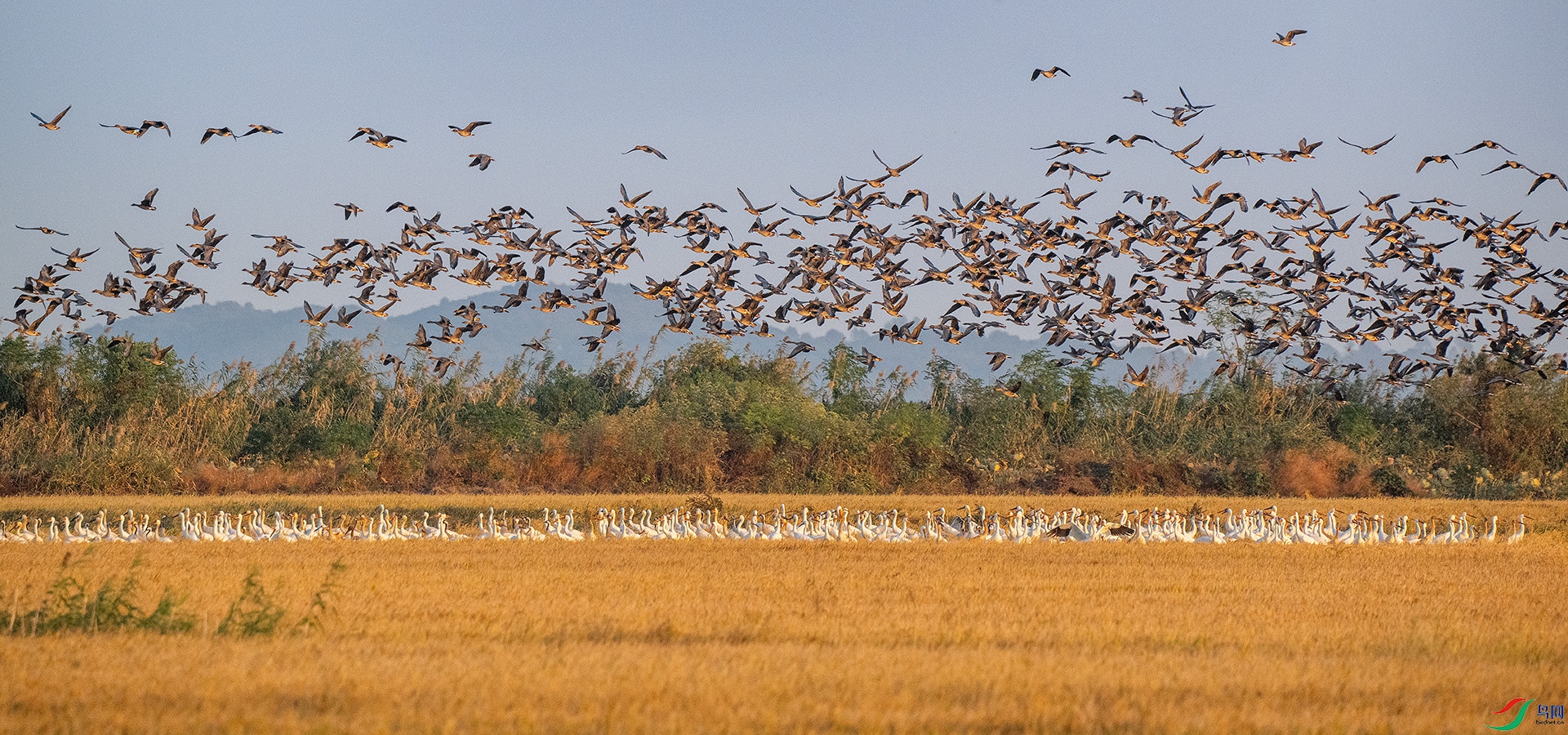 DSC_0364 ����x.jpg