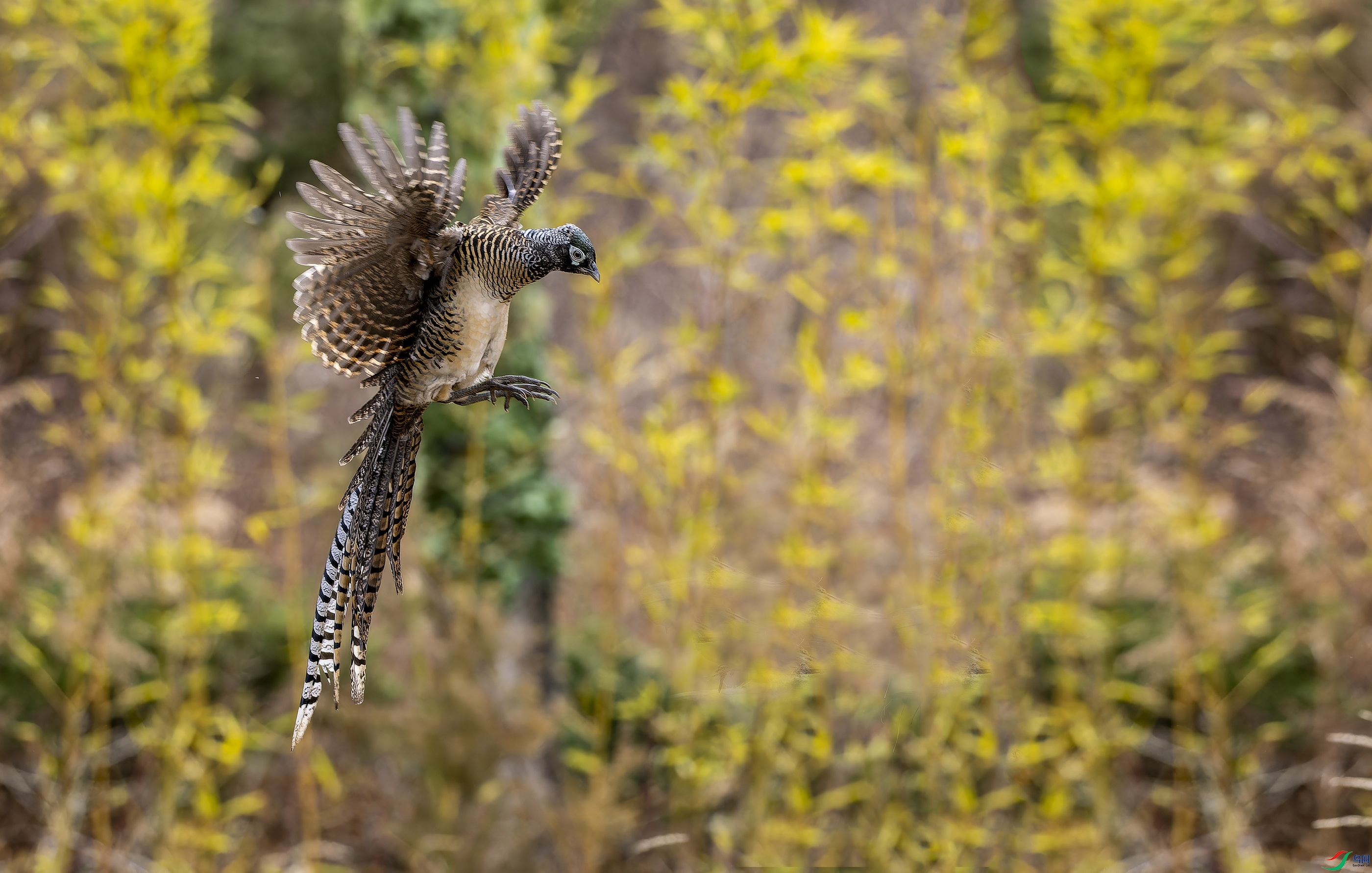 �׸����� (��) (10) ����.jpg