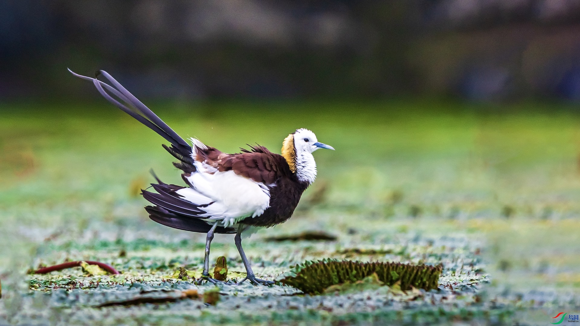 1--11 ����.jpeg