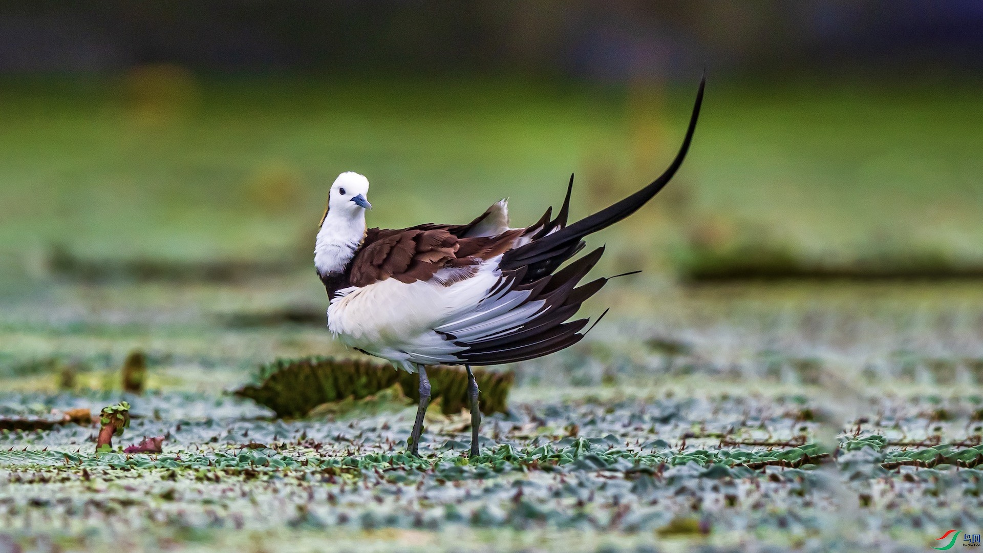 1--21 ����.jpeg