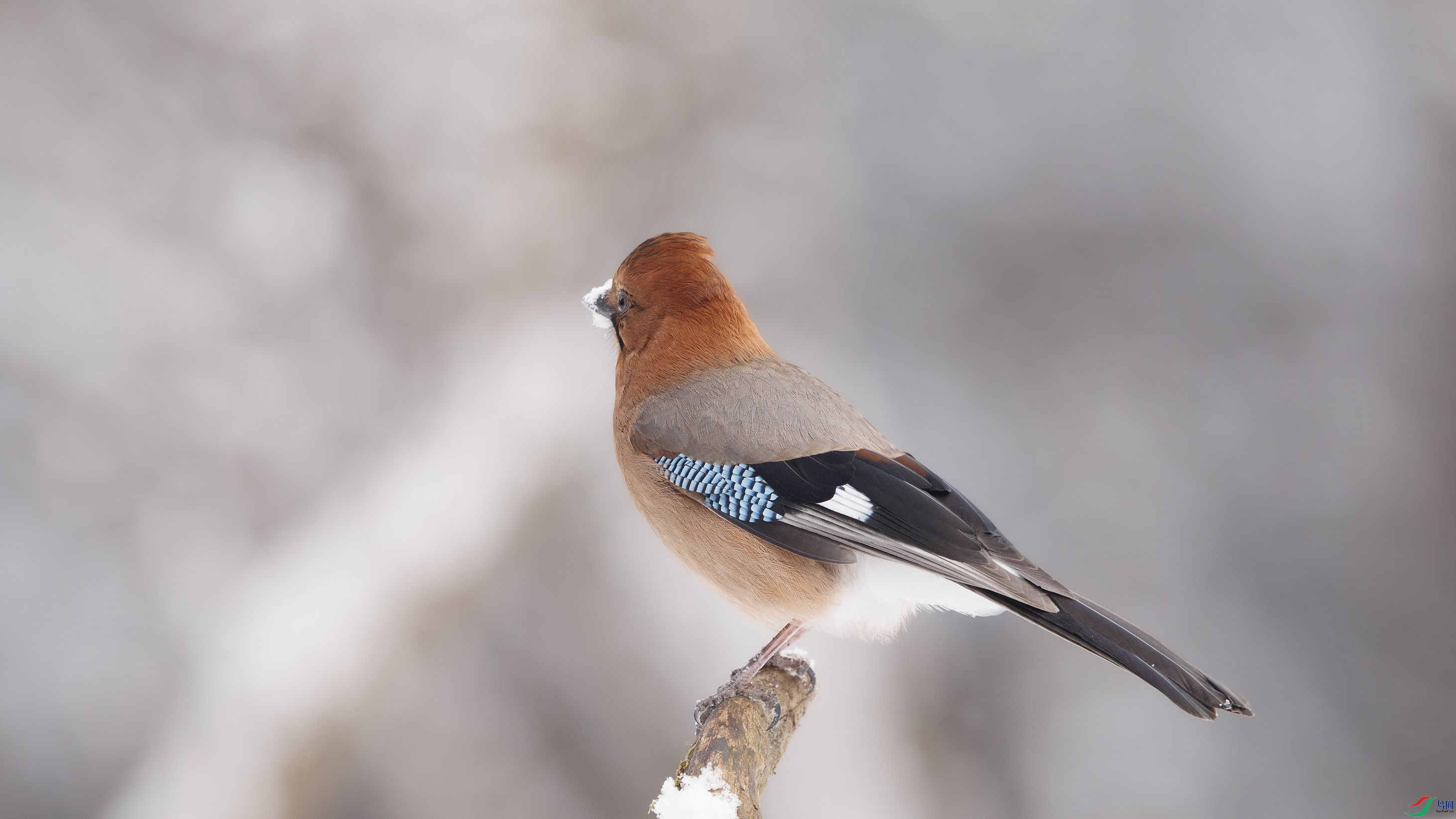 7X5A7875 ����4444.jpg