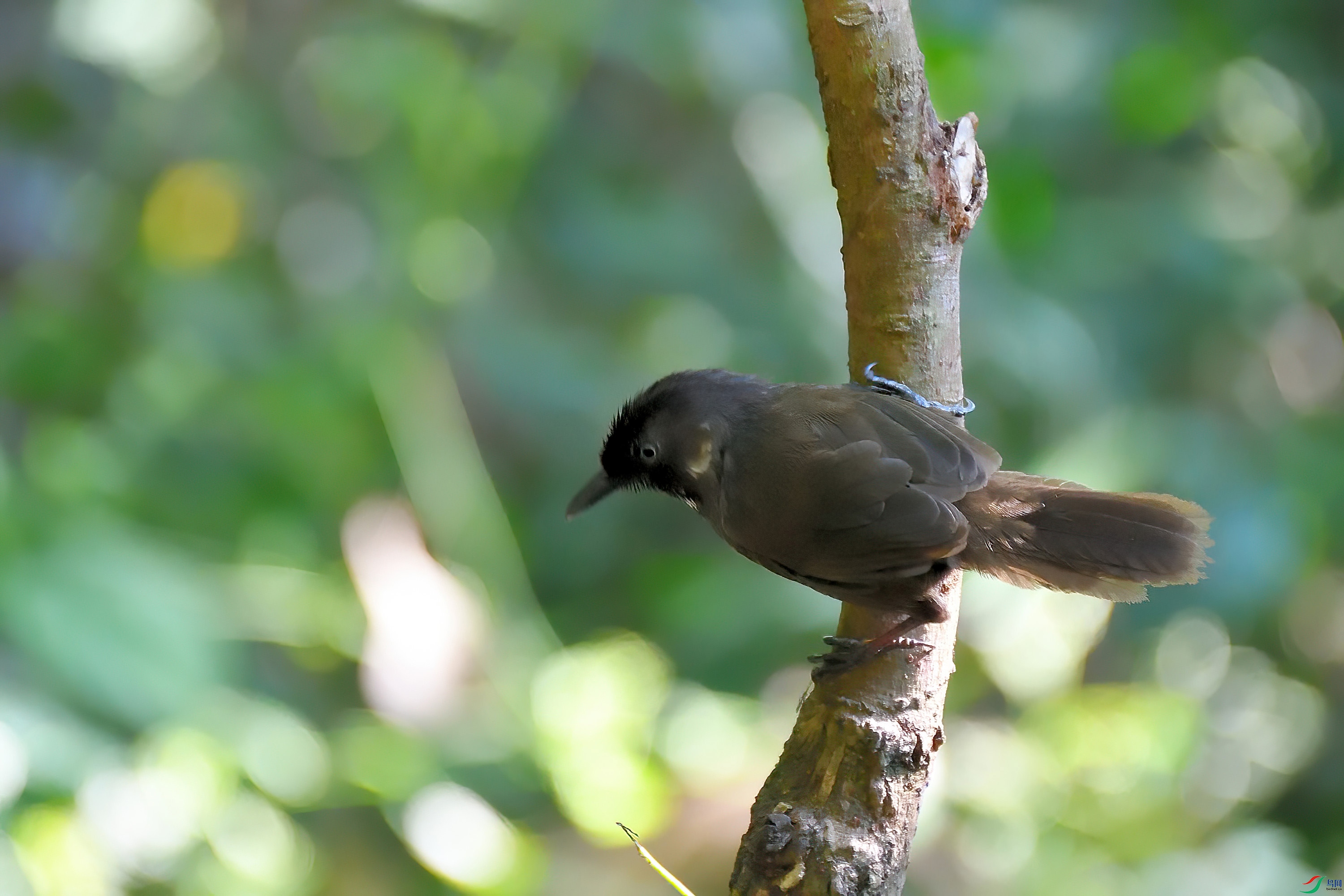 DSC_3404sp.jpg