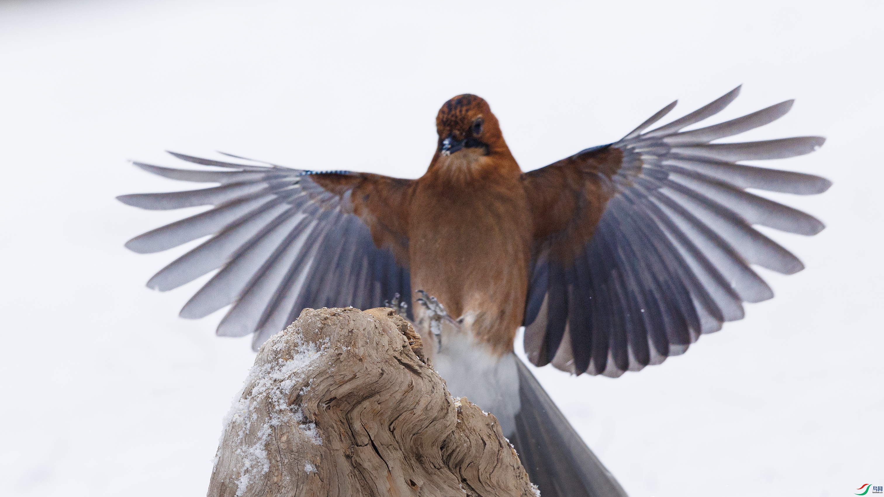 7X5A8768 ��4444.jpg