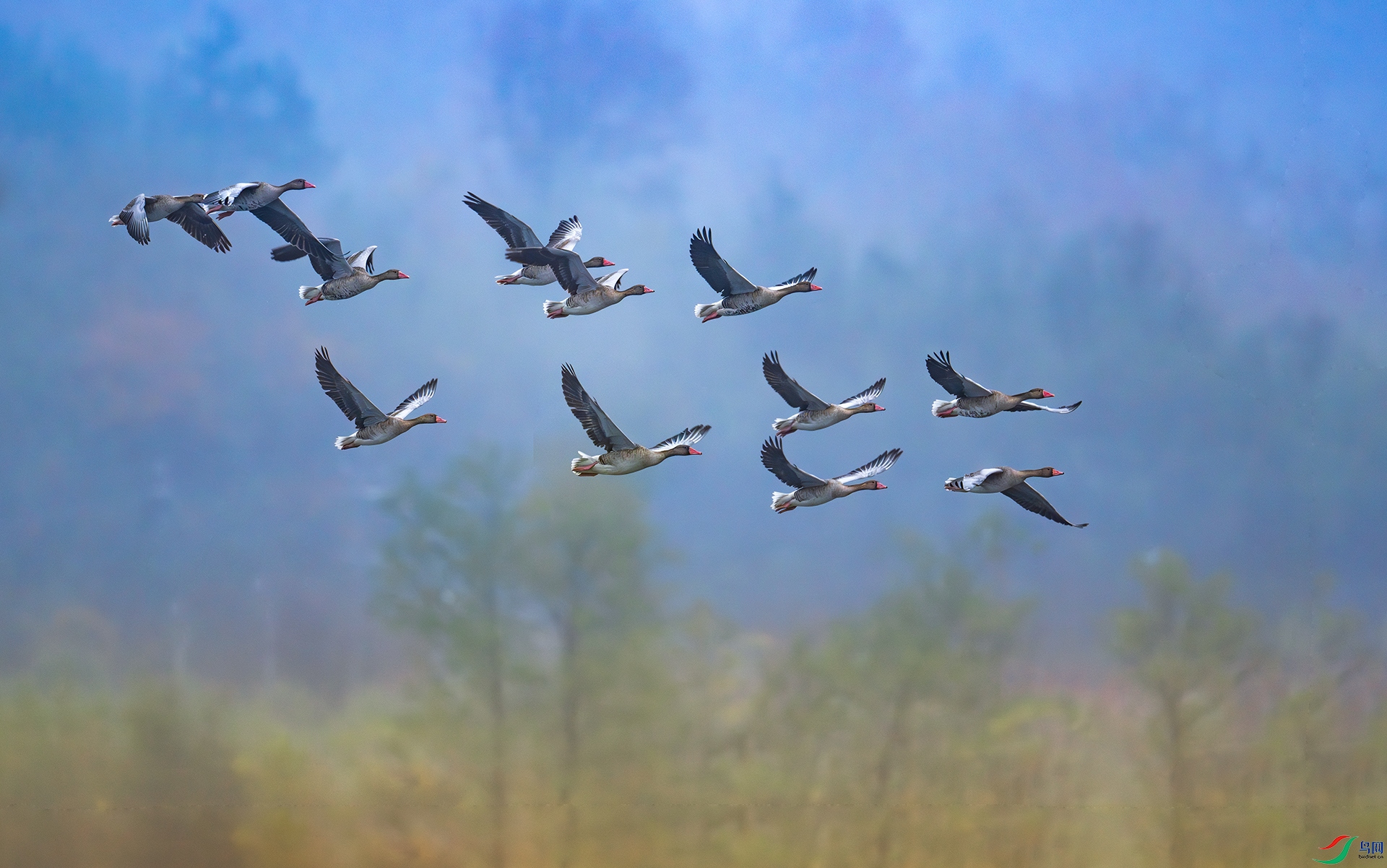 ����DSC_5324-�ָ���.jpg