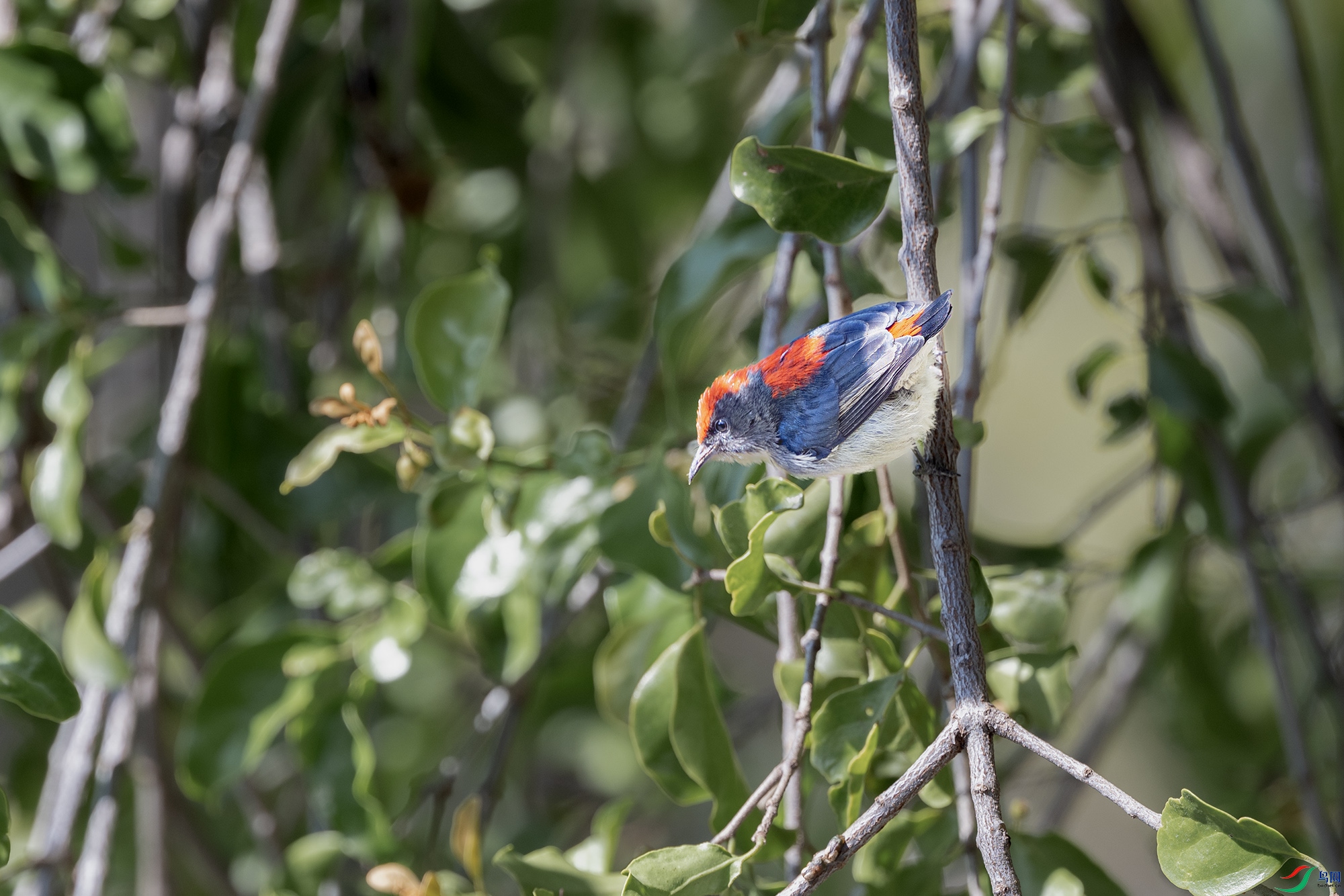 DSC_9374.jpg