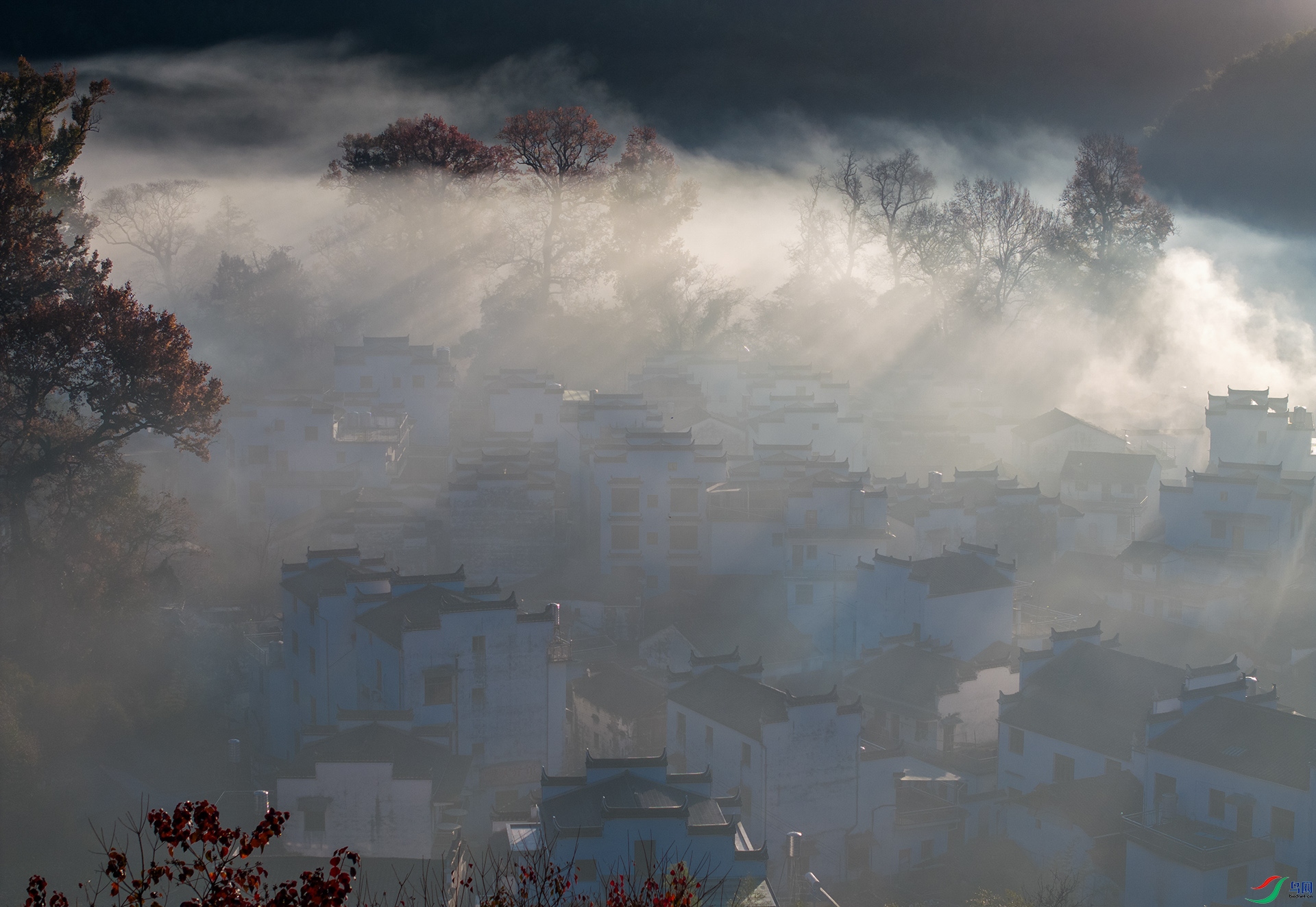 DJI_20241129073940_0048_D ����a ����.jpg