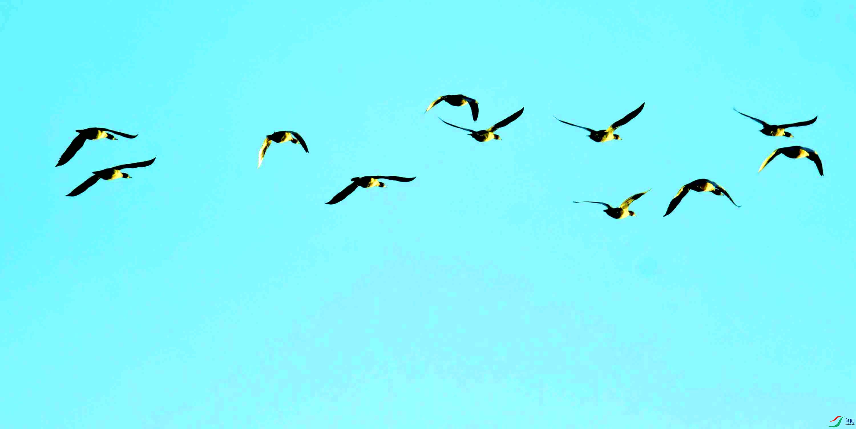 DSC_2311.JPG