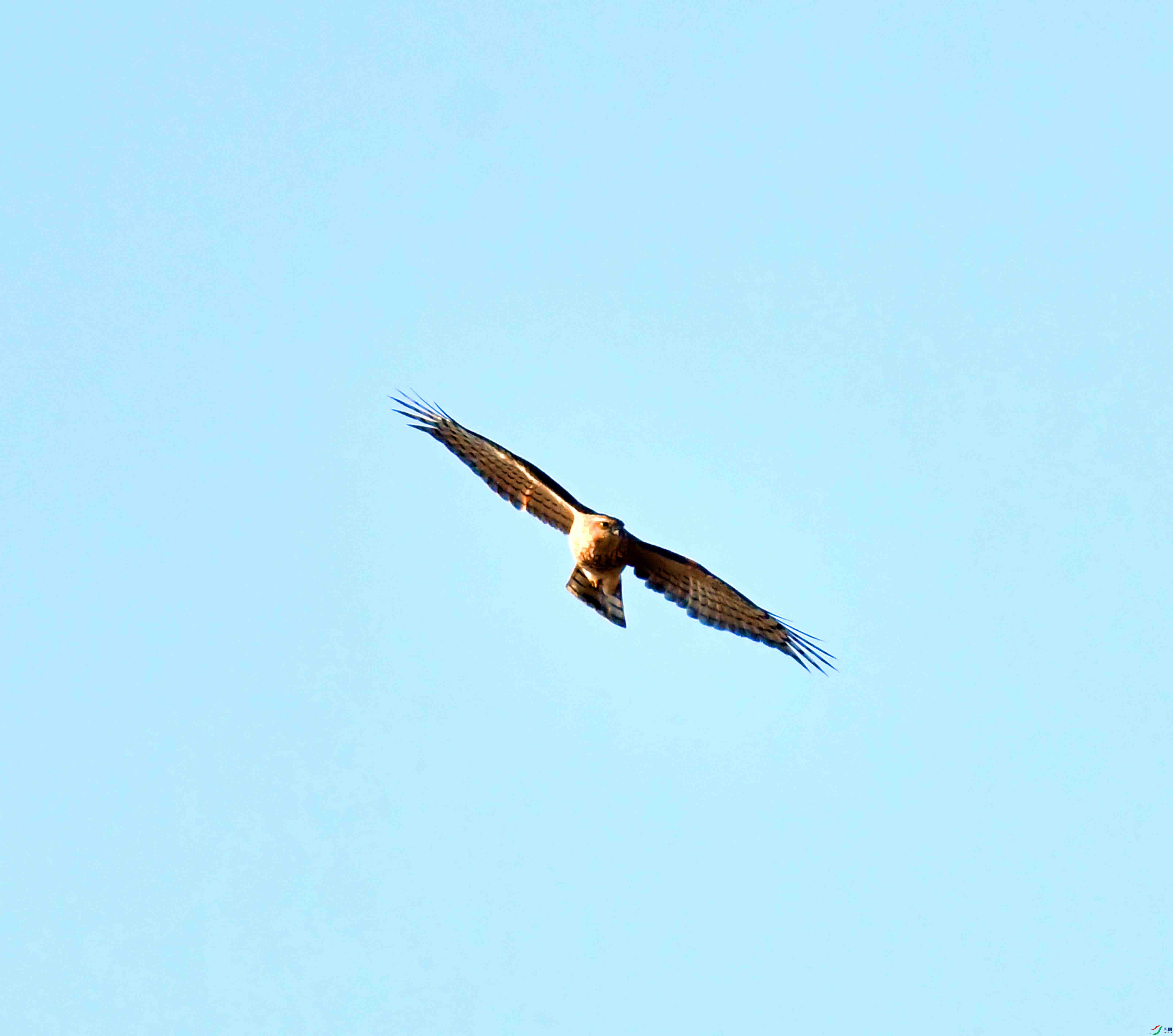 DSC_2549.JPG