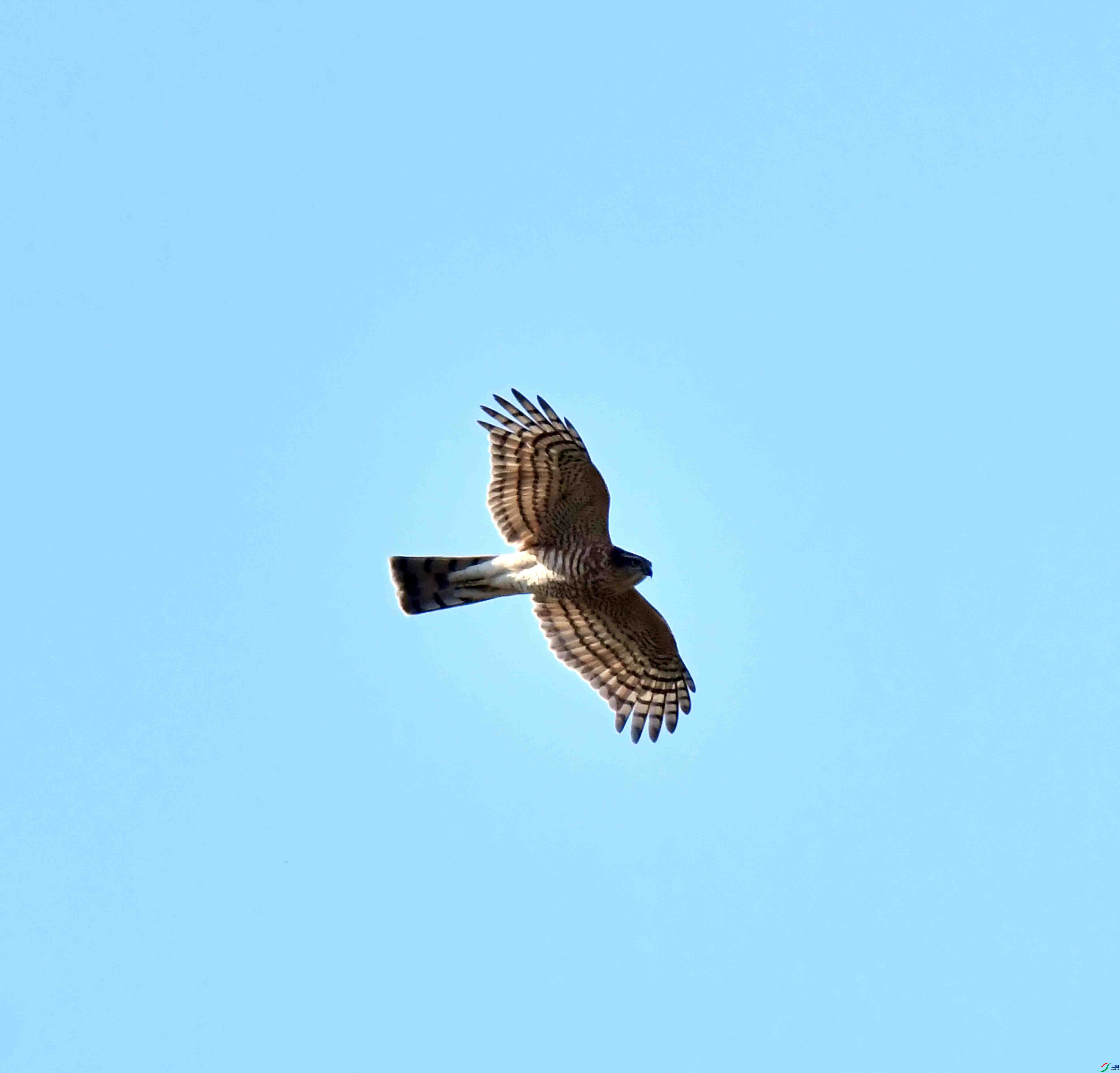 DSC_2552.JPG