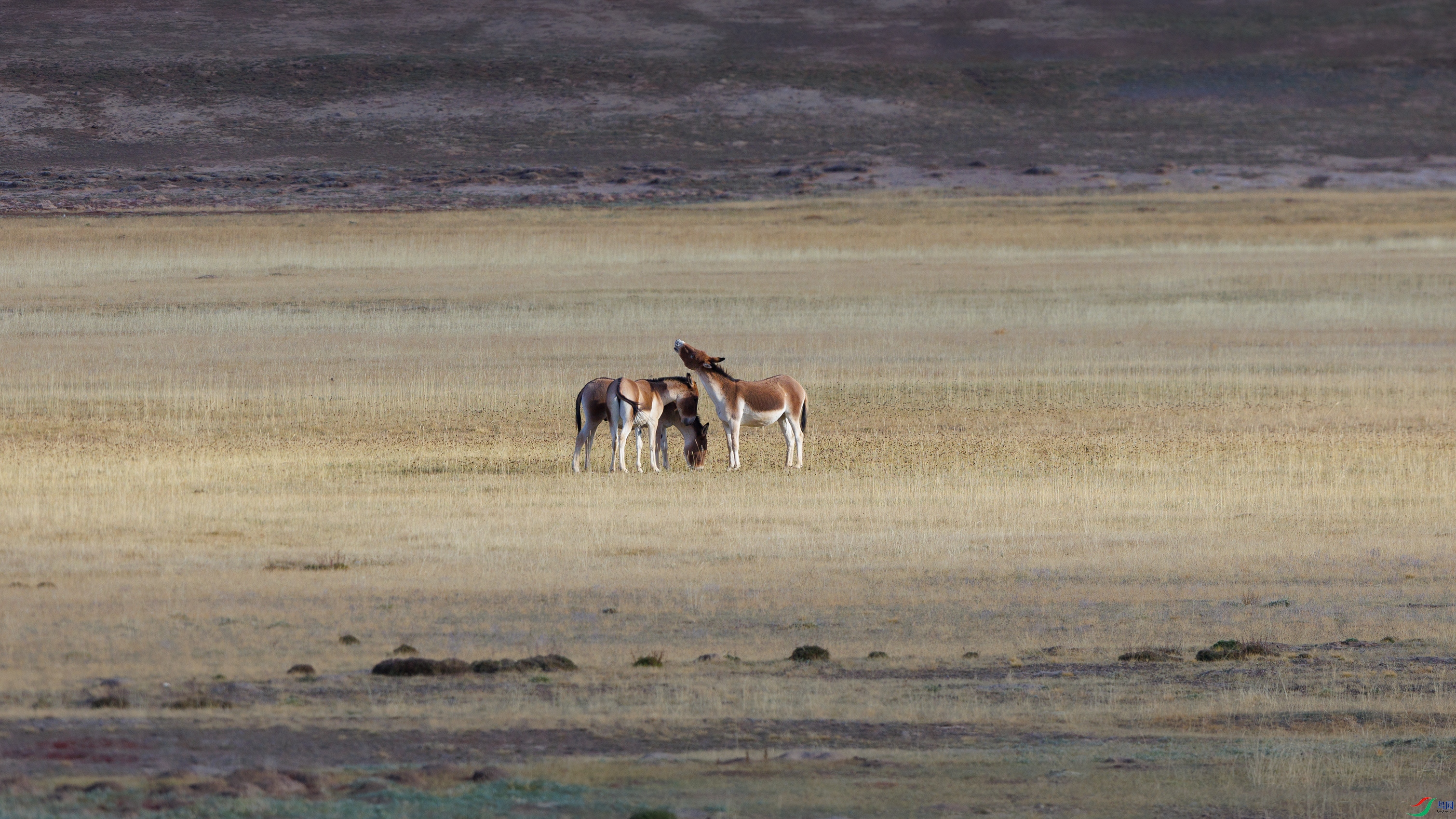 7X5A7641 ����44444.jpg