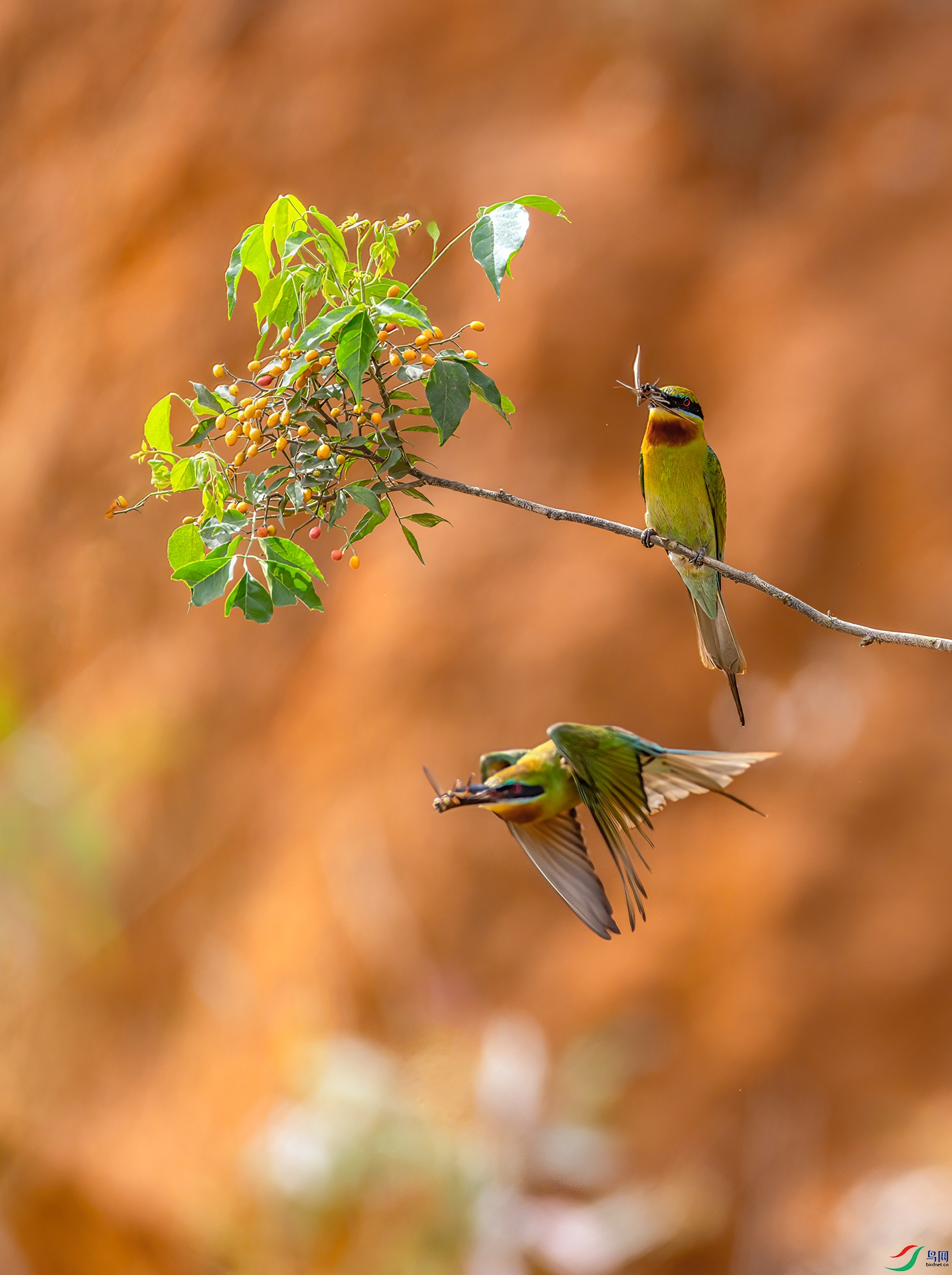 407A5281 ����-Sh---1 .jpg