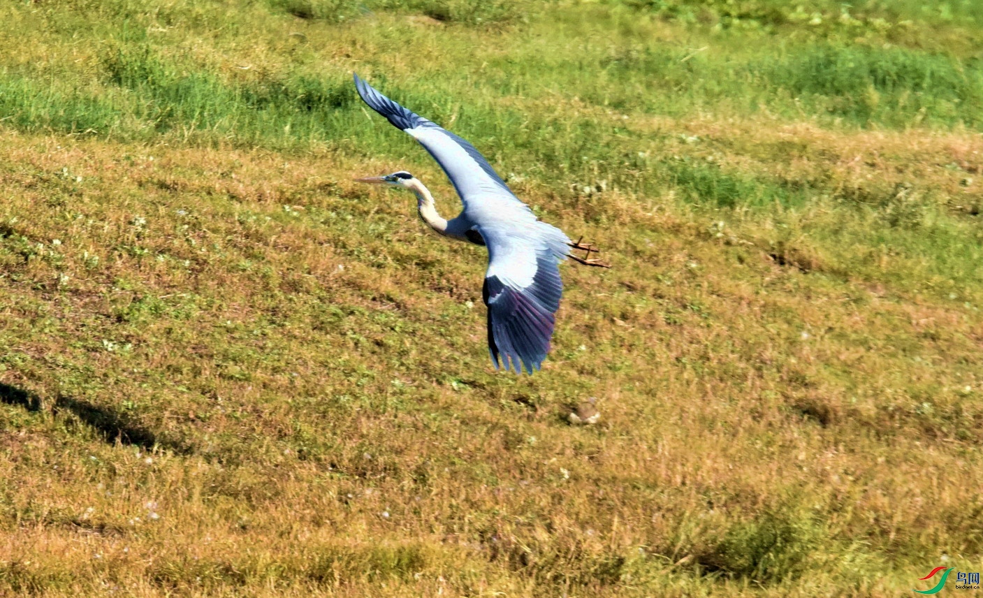 DSC_5423 - ����.jpg