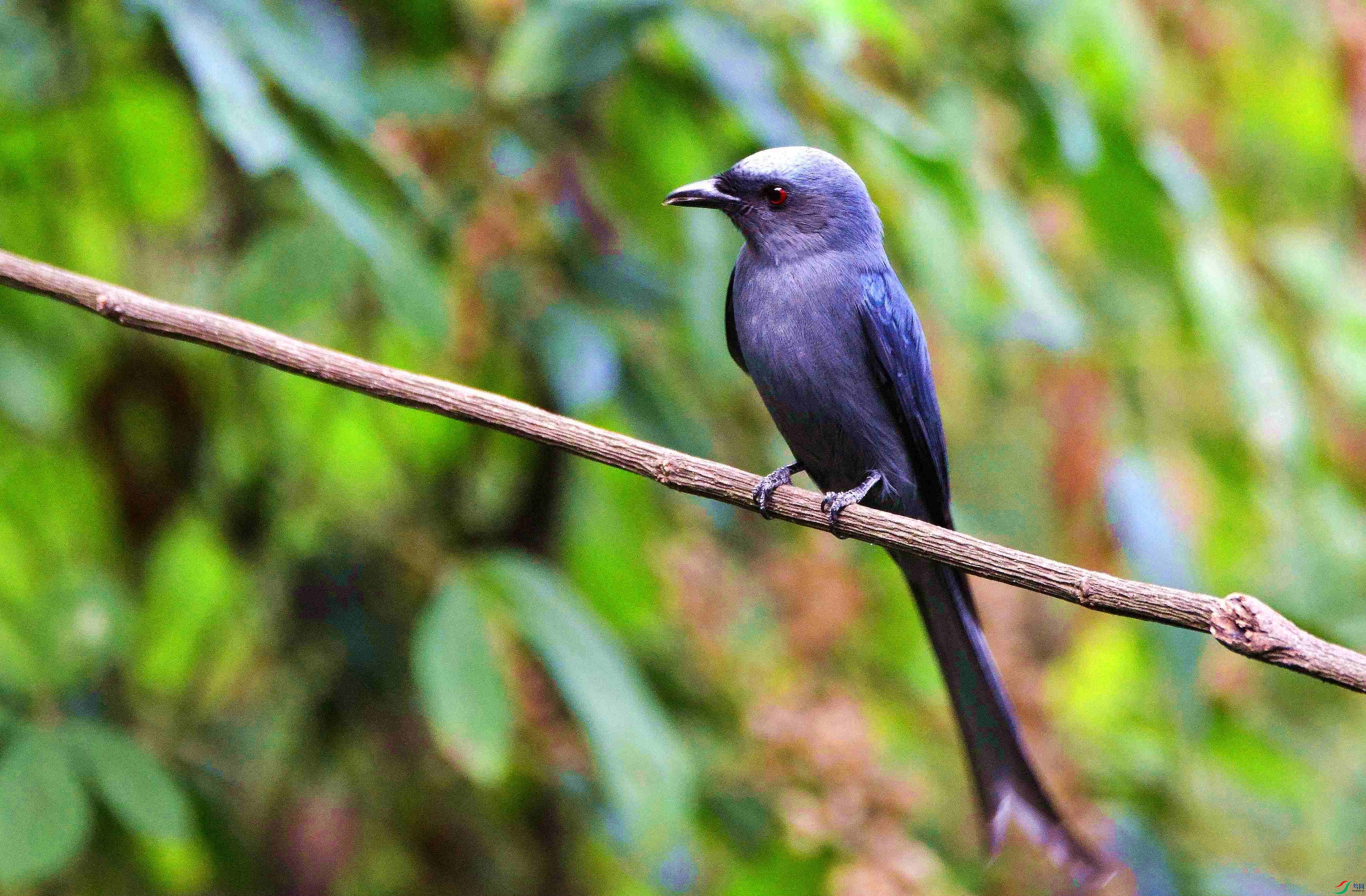 DSC_5426.JPG