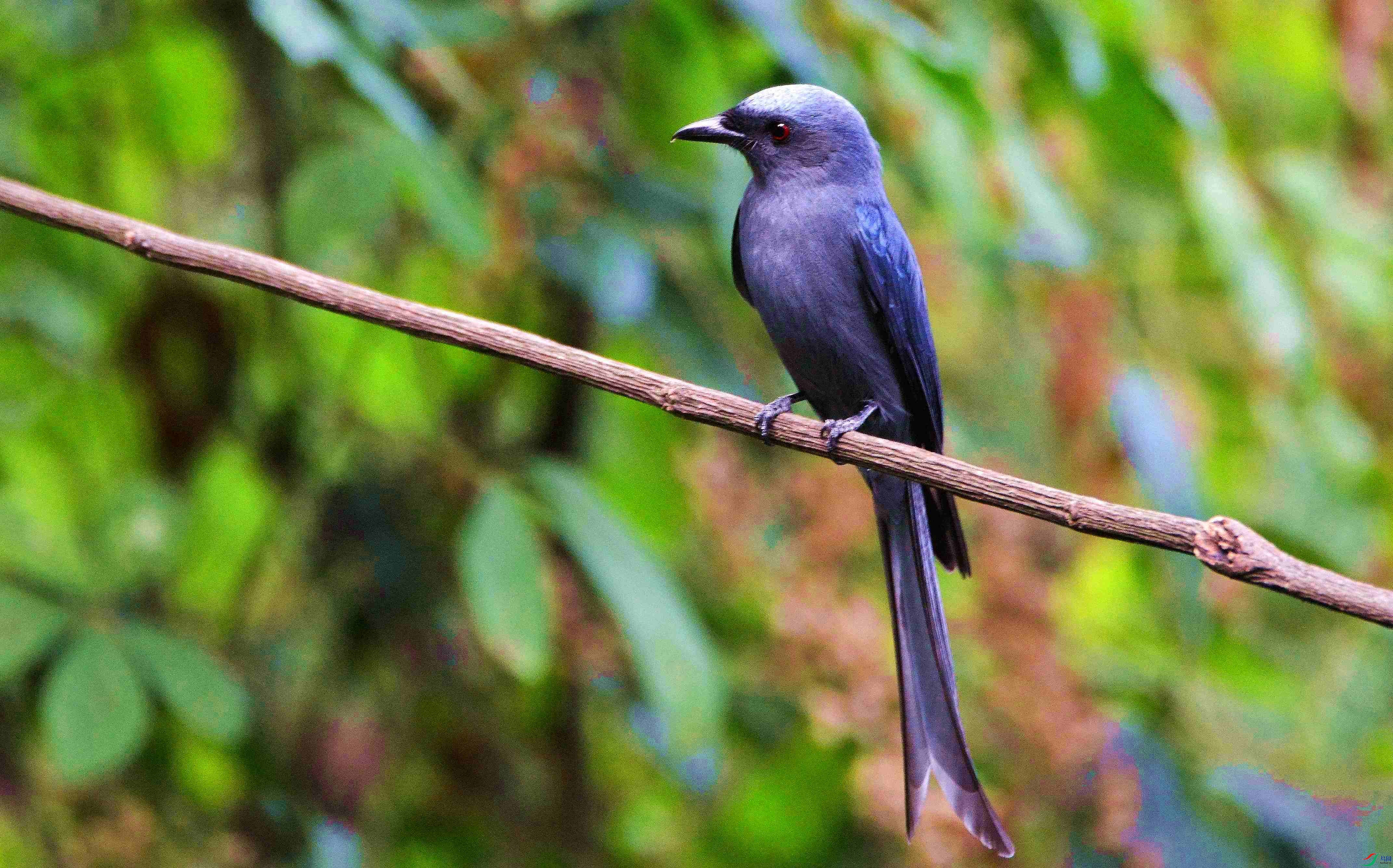 DSC_5427.JPG