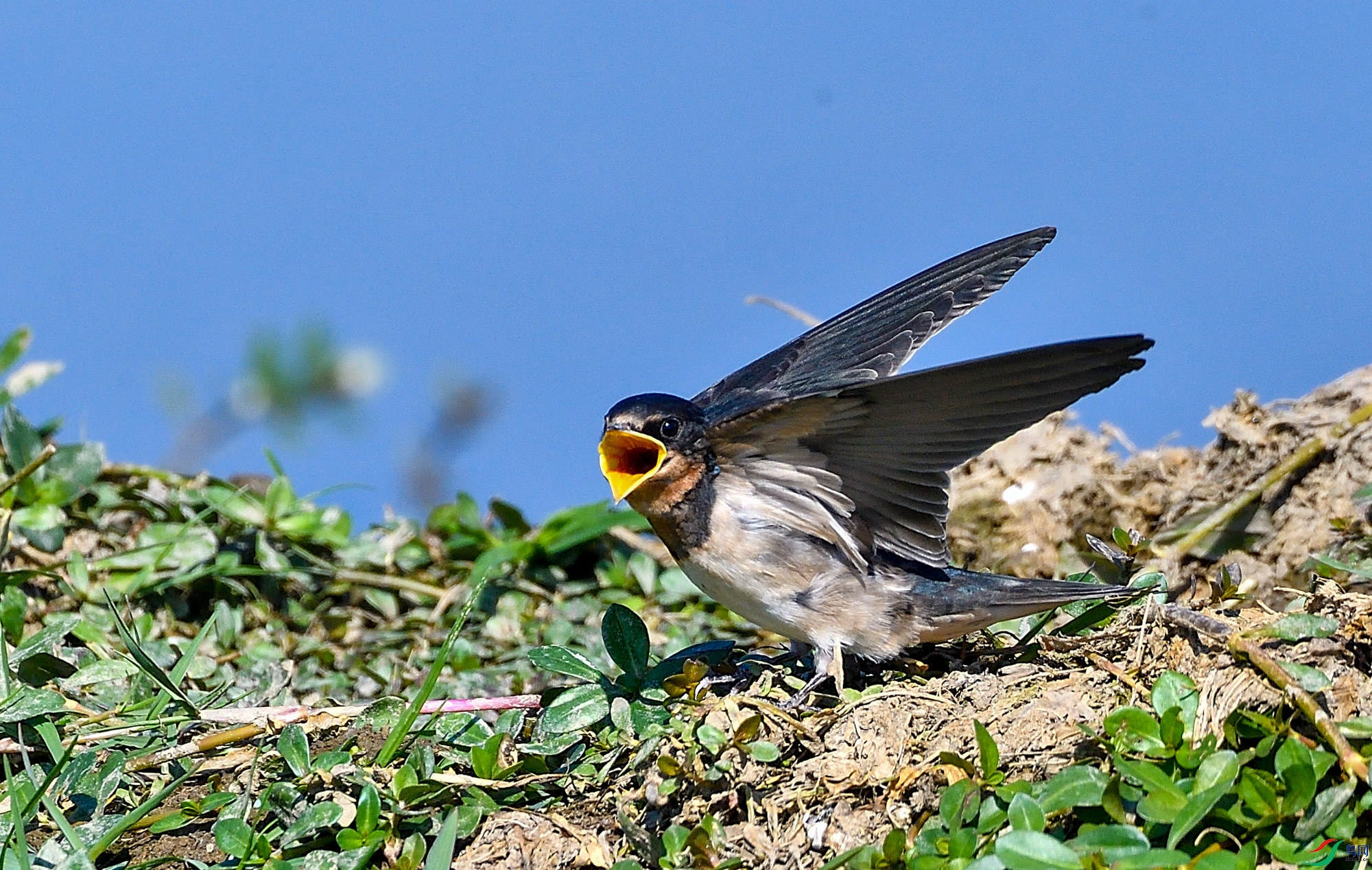 DSC_3140_00151.jpg