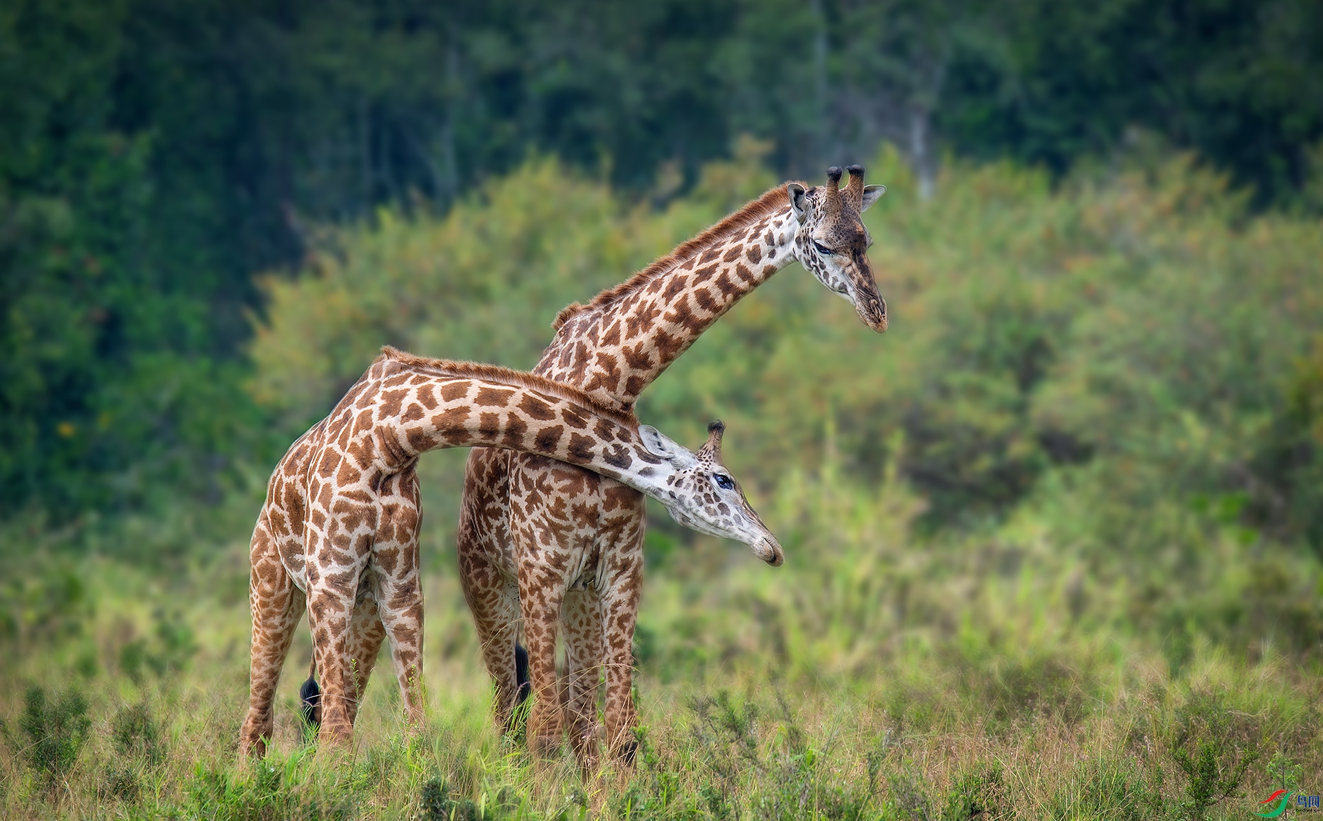 DSC_3599 ����x.jpg