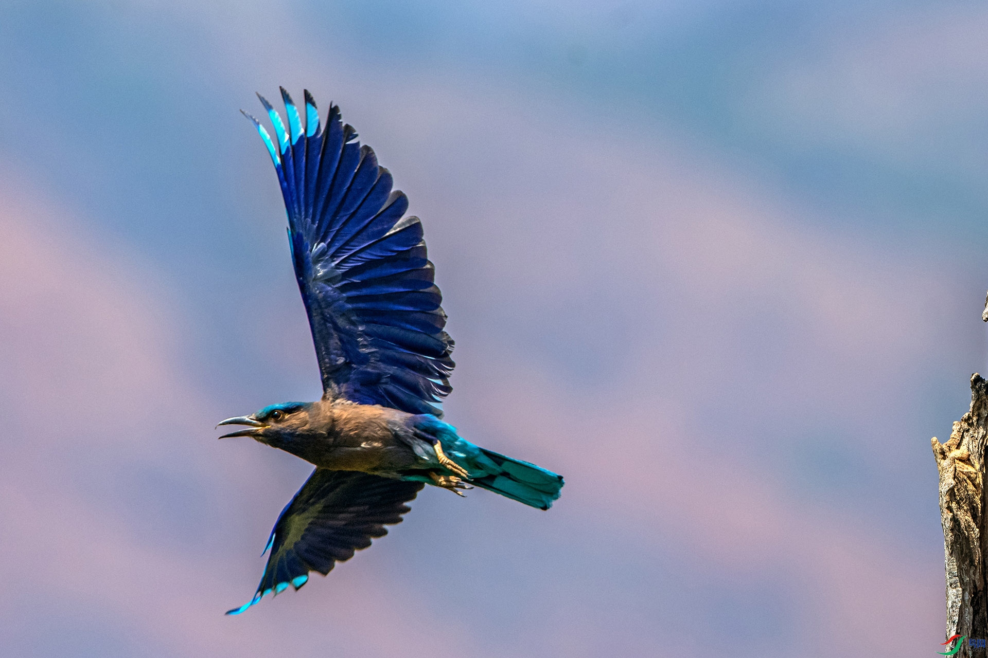 _AUU4278���ط�ɮ(24.5.13).jpg