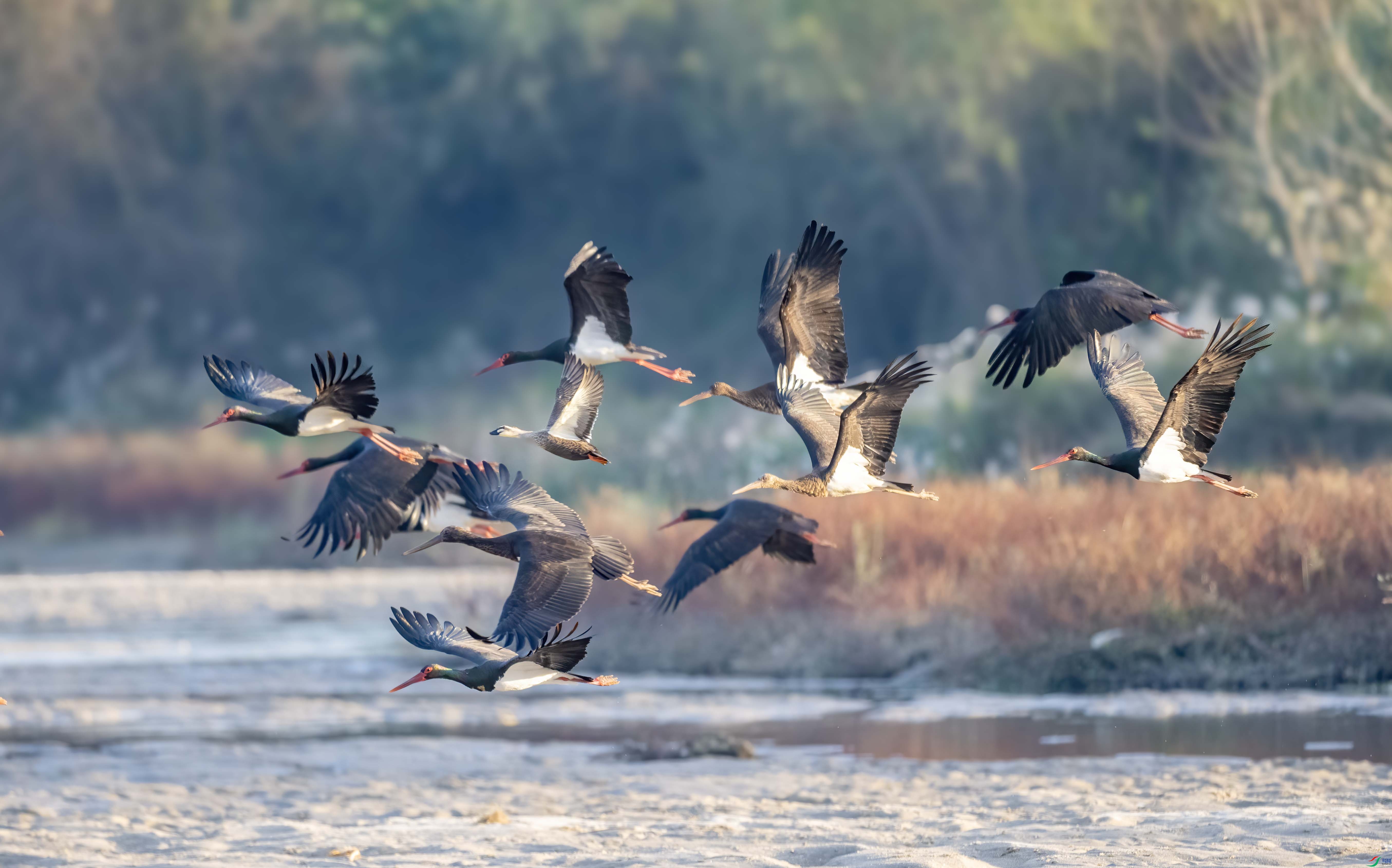 DSC_6912 ����.jpg