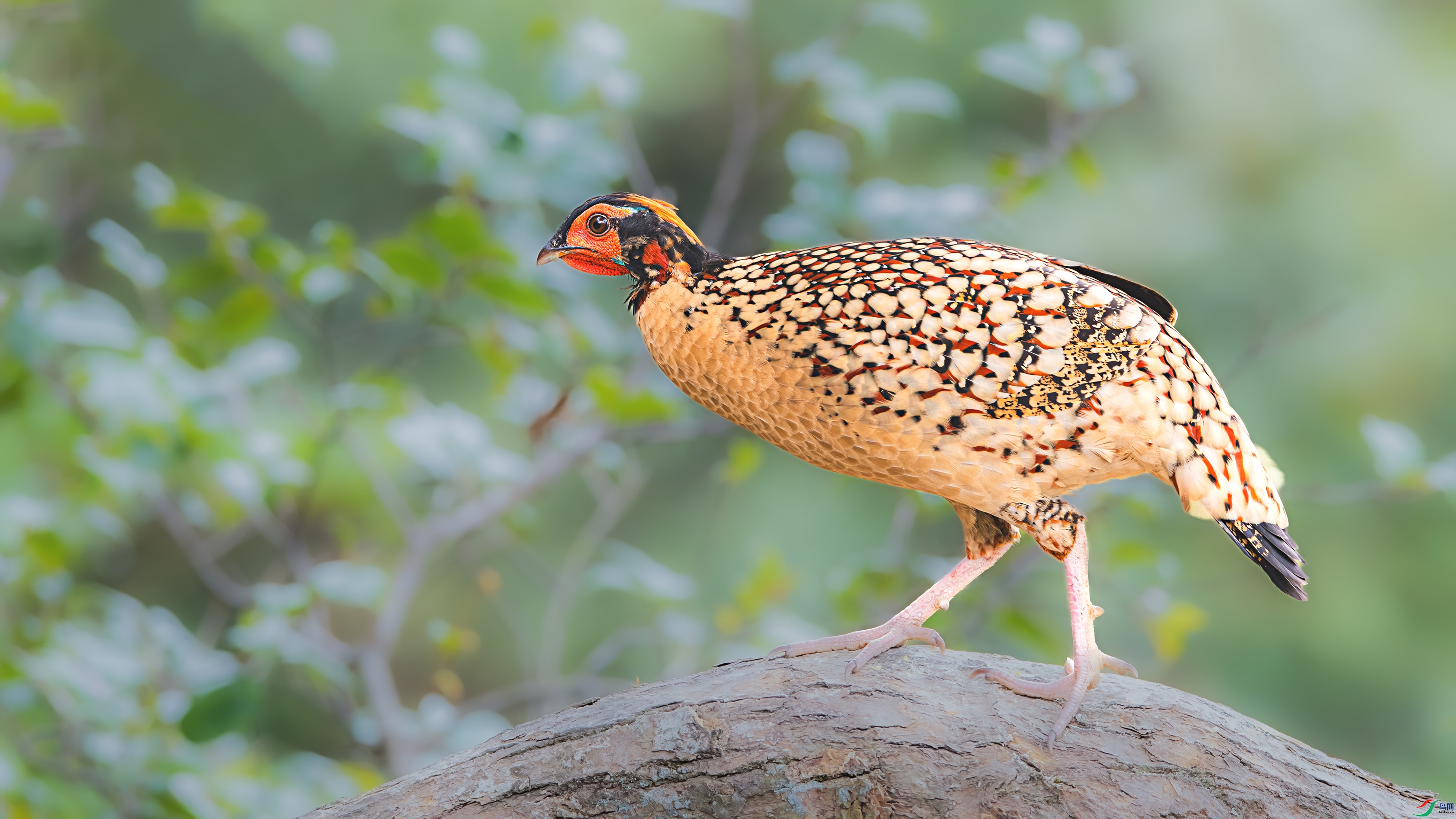 4813-1 ����.jpg