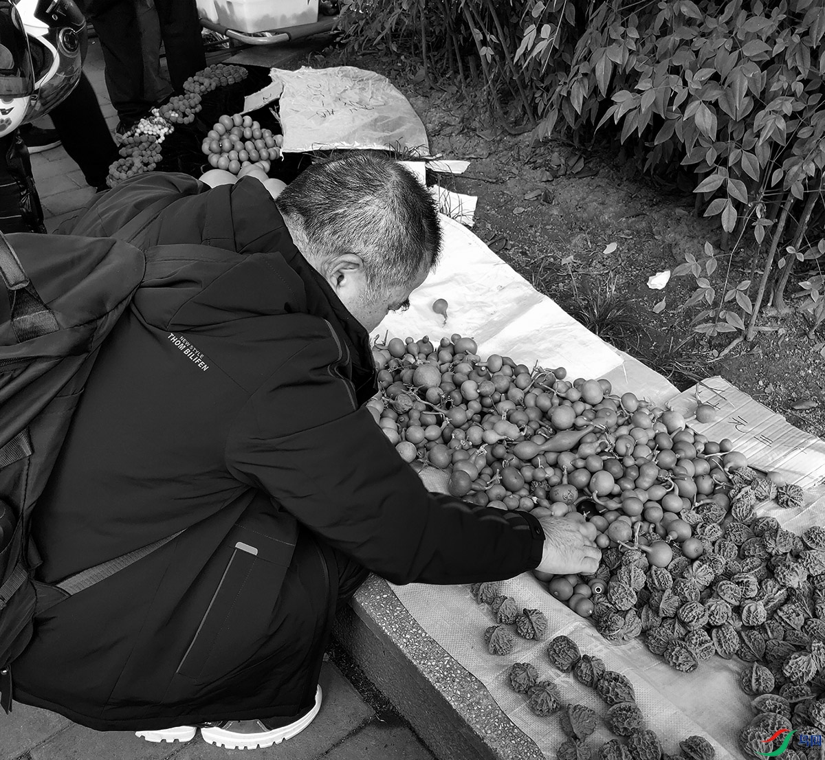 IMG20241201101442.jpg
