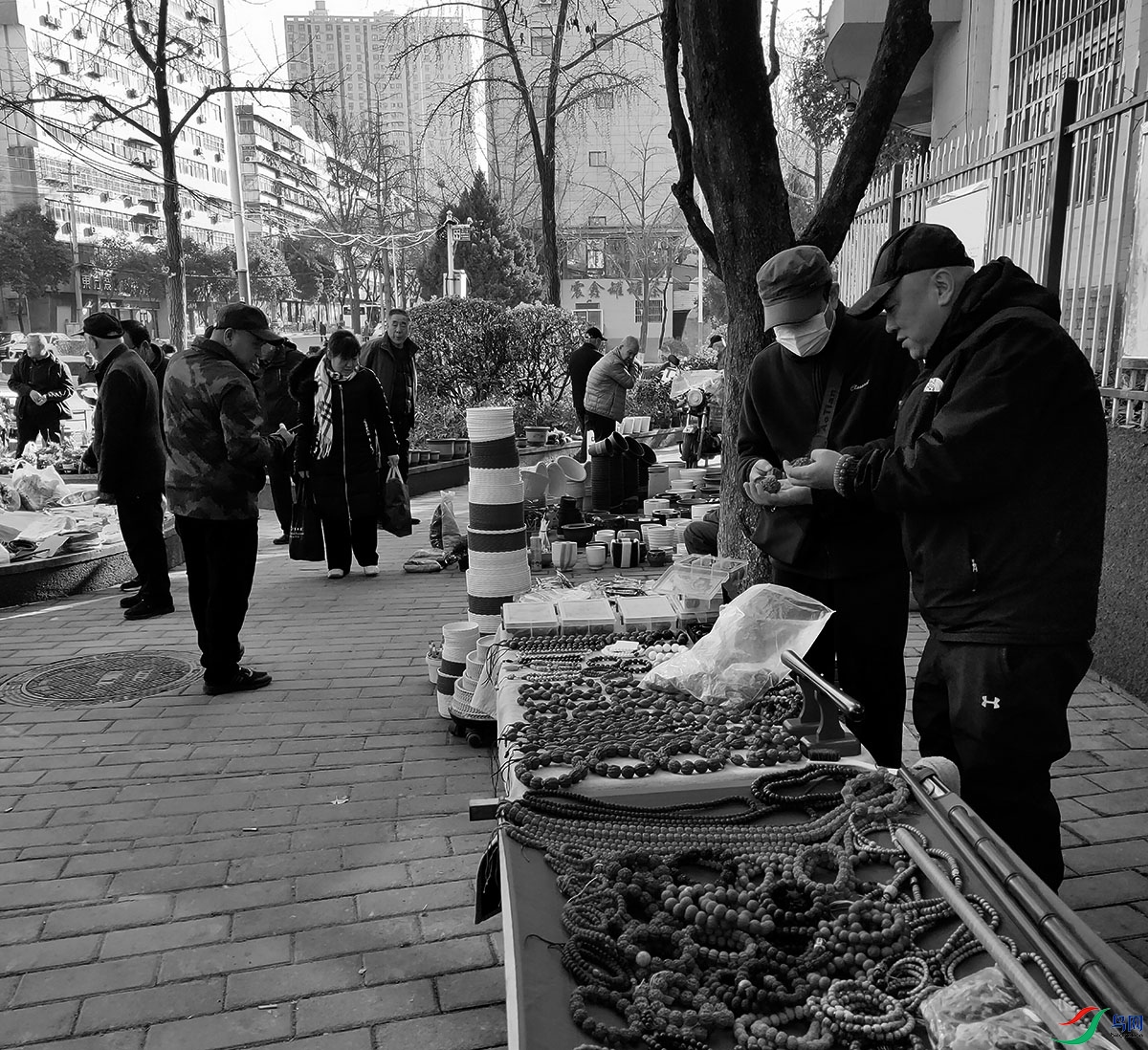 IMG20241201101409.jpg