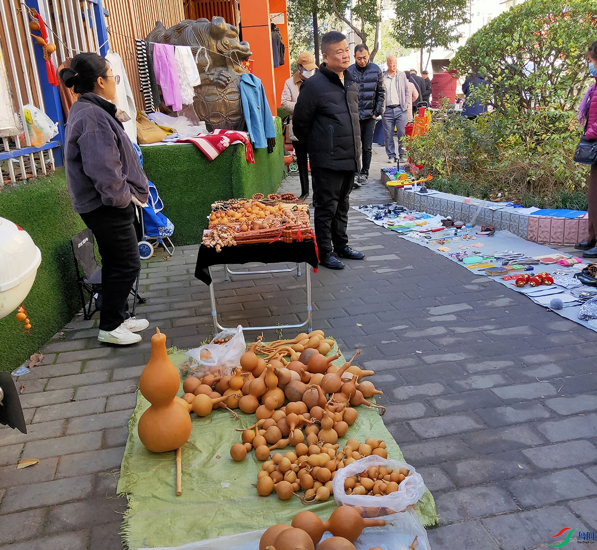 IMG20241201101350.jpg