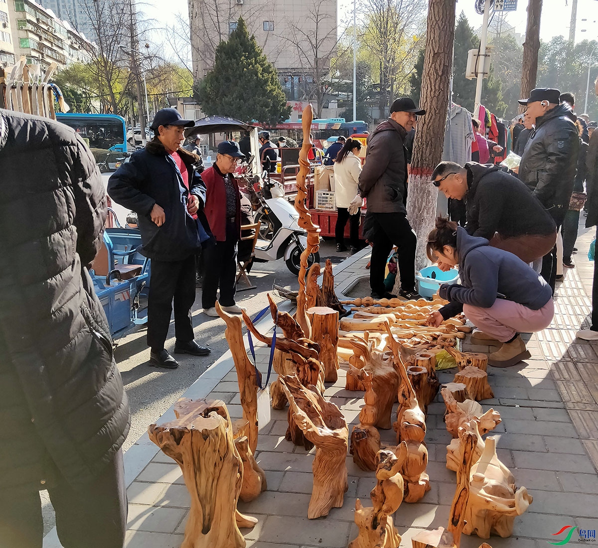 IMG20241201101551.jpg