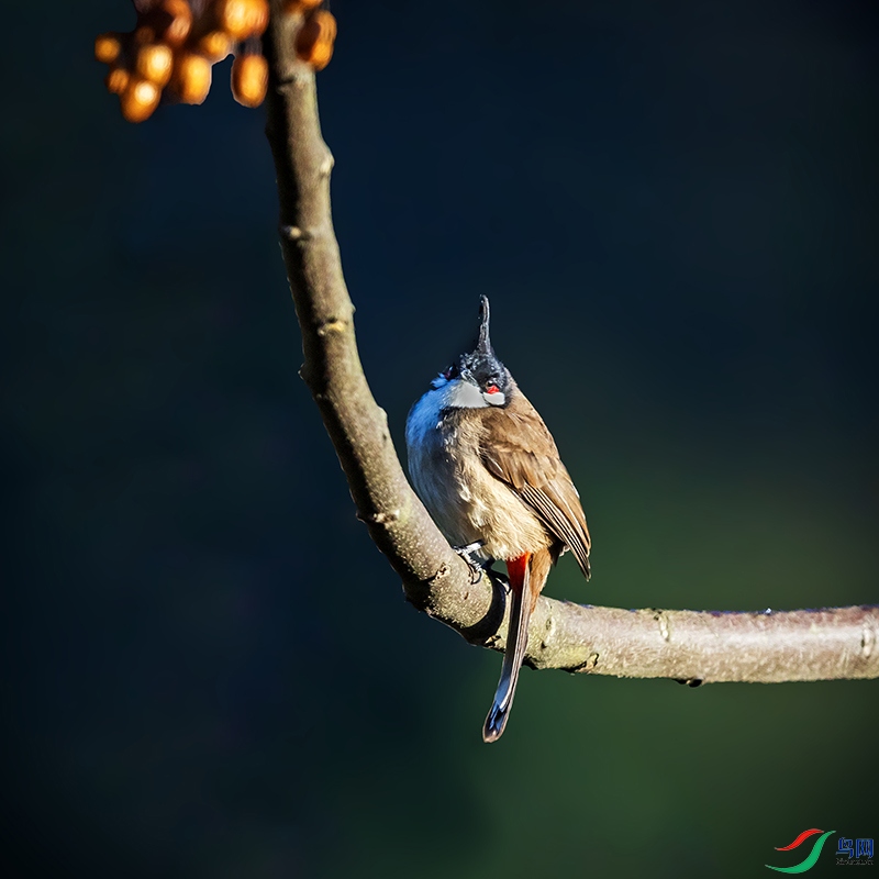_L4I8607�����-ů��.jpg