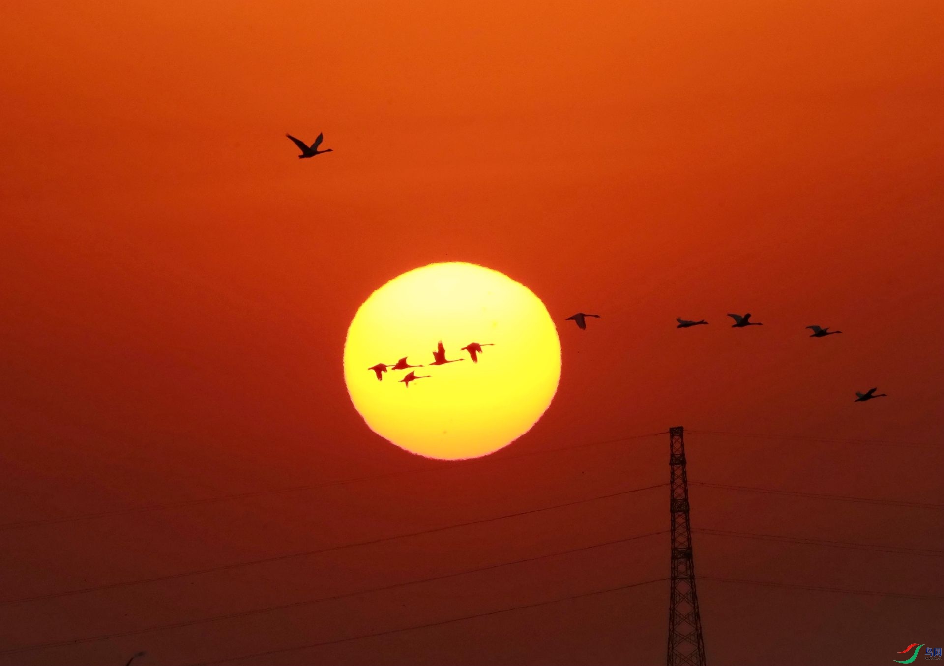 AR2I0224_����_����.jpg