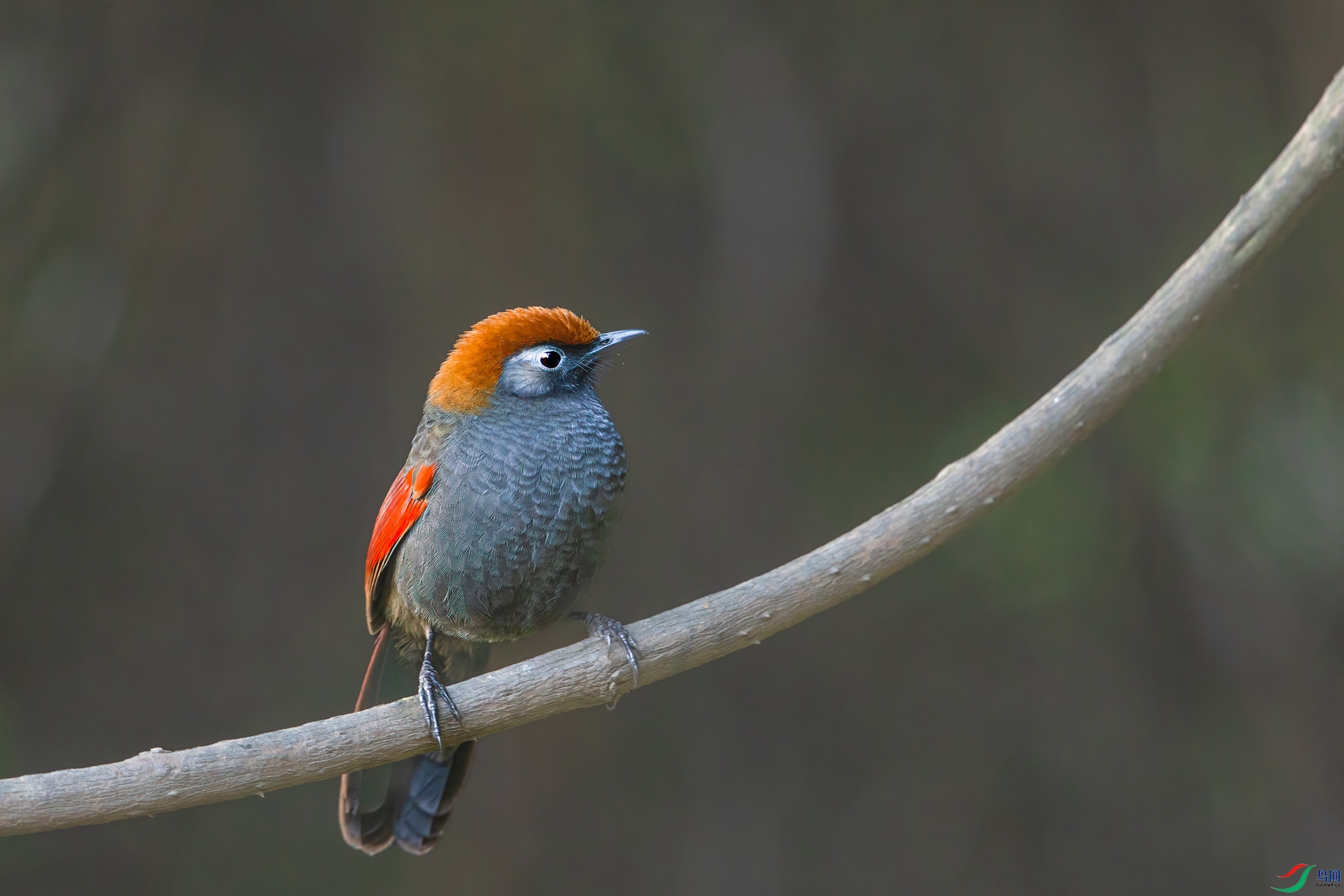 AQ4P0257-1.jpg