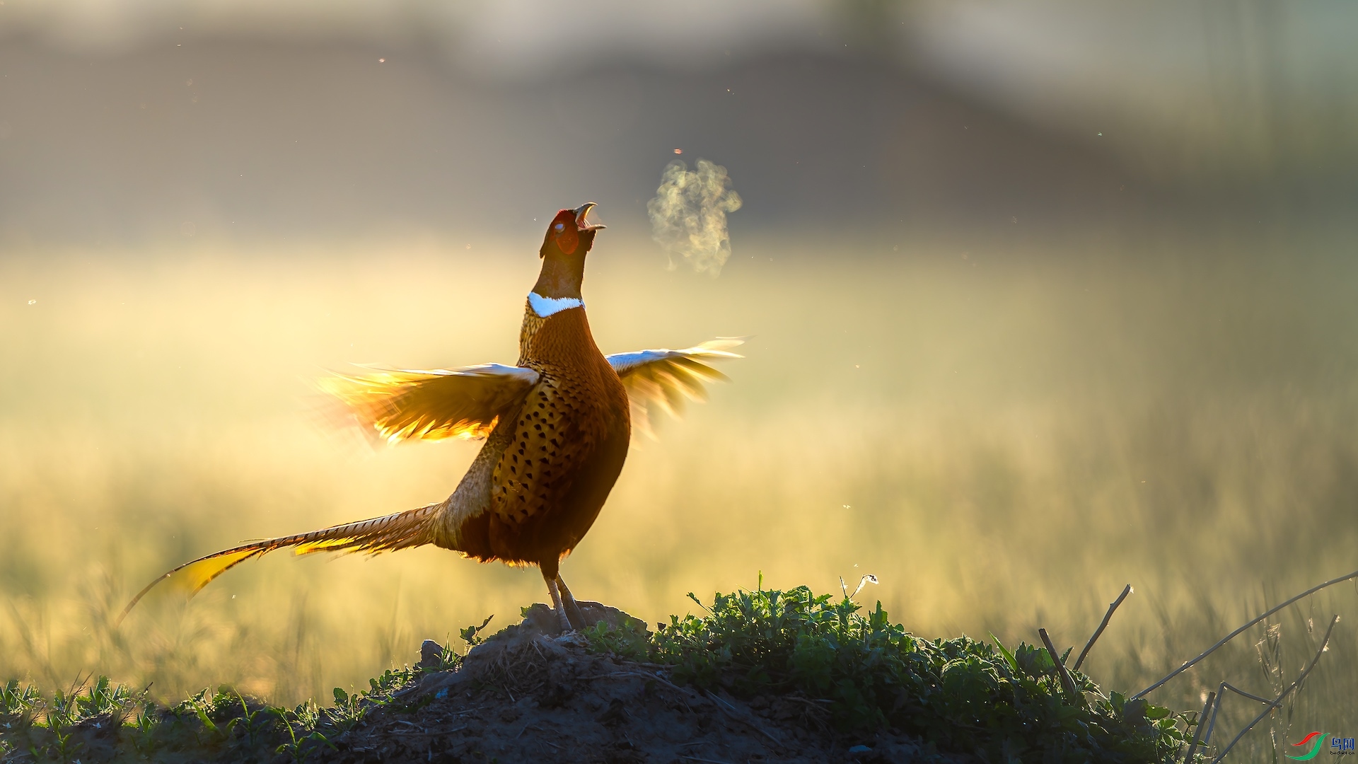 1_XXL1227-����ǿ-NR-1 2.jpeg