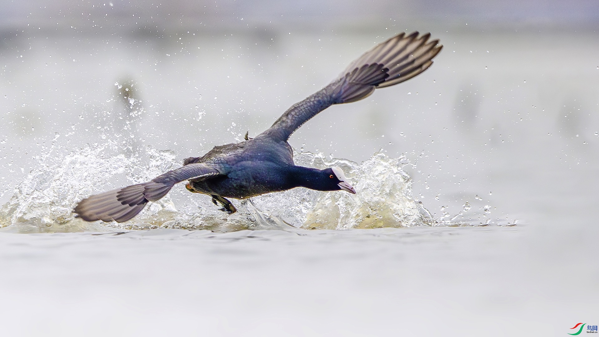 1_XXL6718-����ǿ-NR ���� 2.jpeg