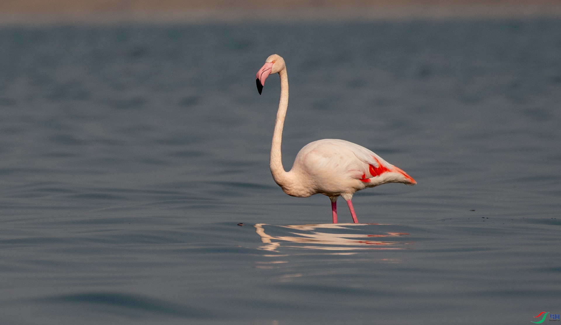 DSC_7665.jpg