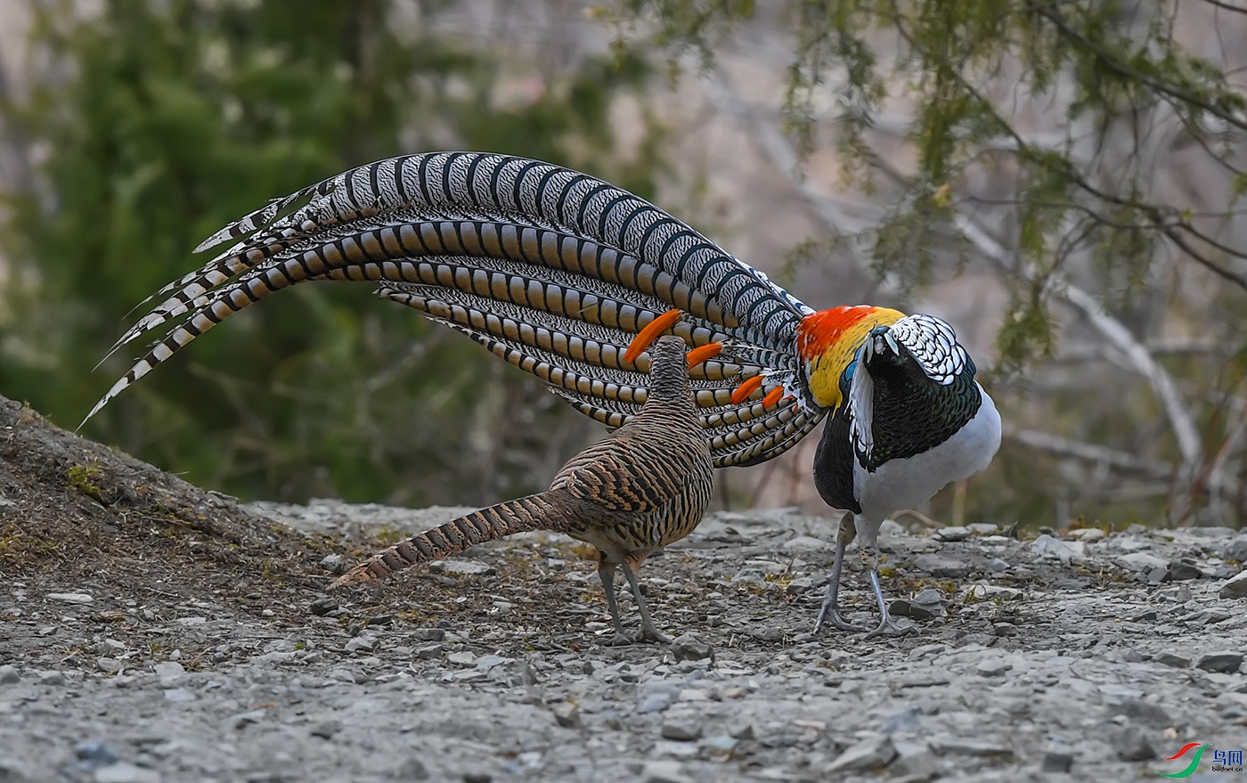 DSC_21301.jpg