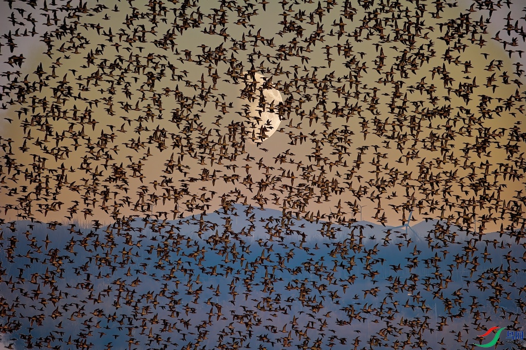 DSC_0061 ���� 2_����.jpg