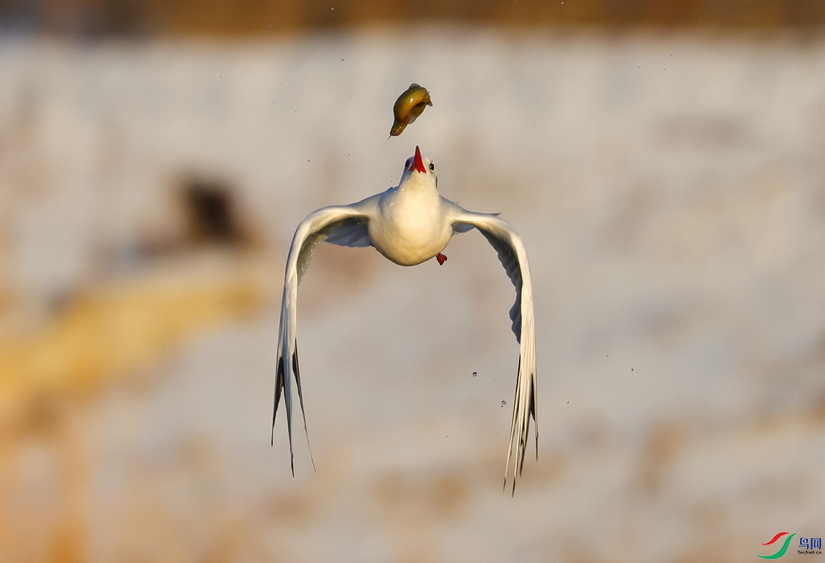 ����  Ϸ��8.jpg