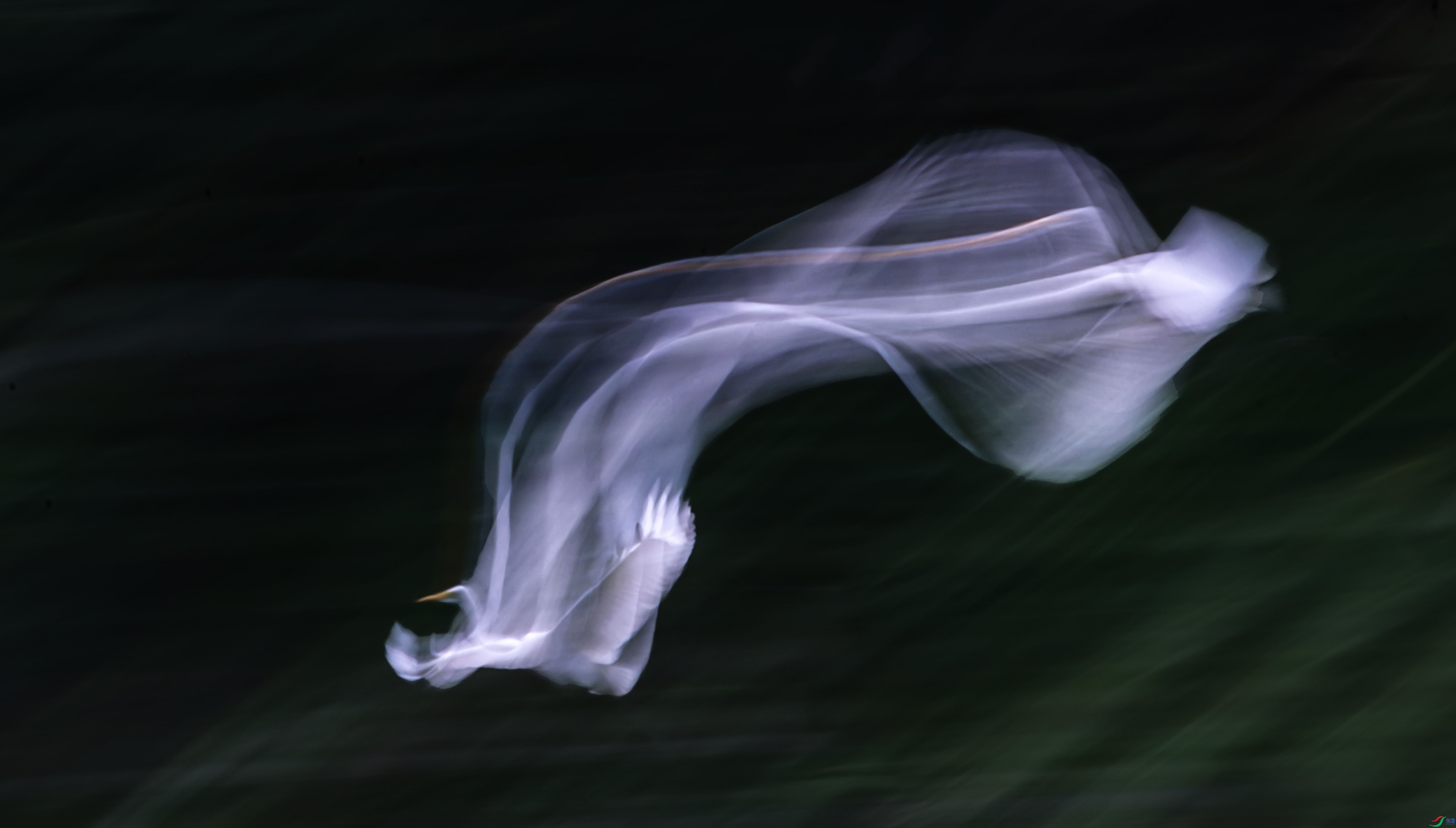 ÿ��һͼ  Ʈ�ݰ��� ���� ���� ����.jpg