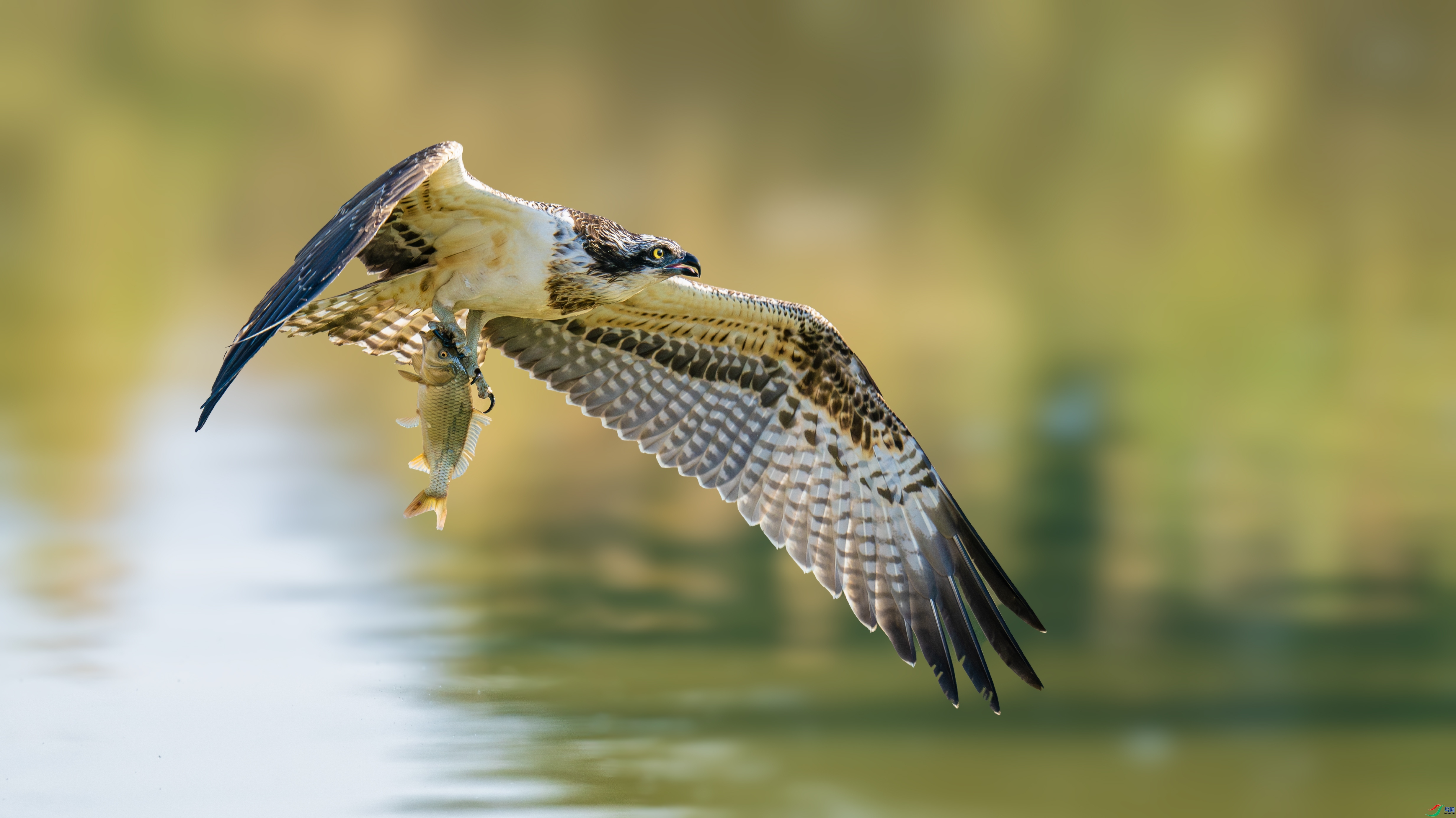 ÿ�ռ���  �������� ���� �������� ����.jpg