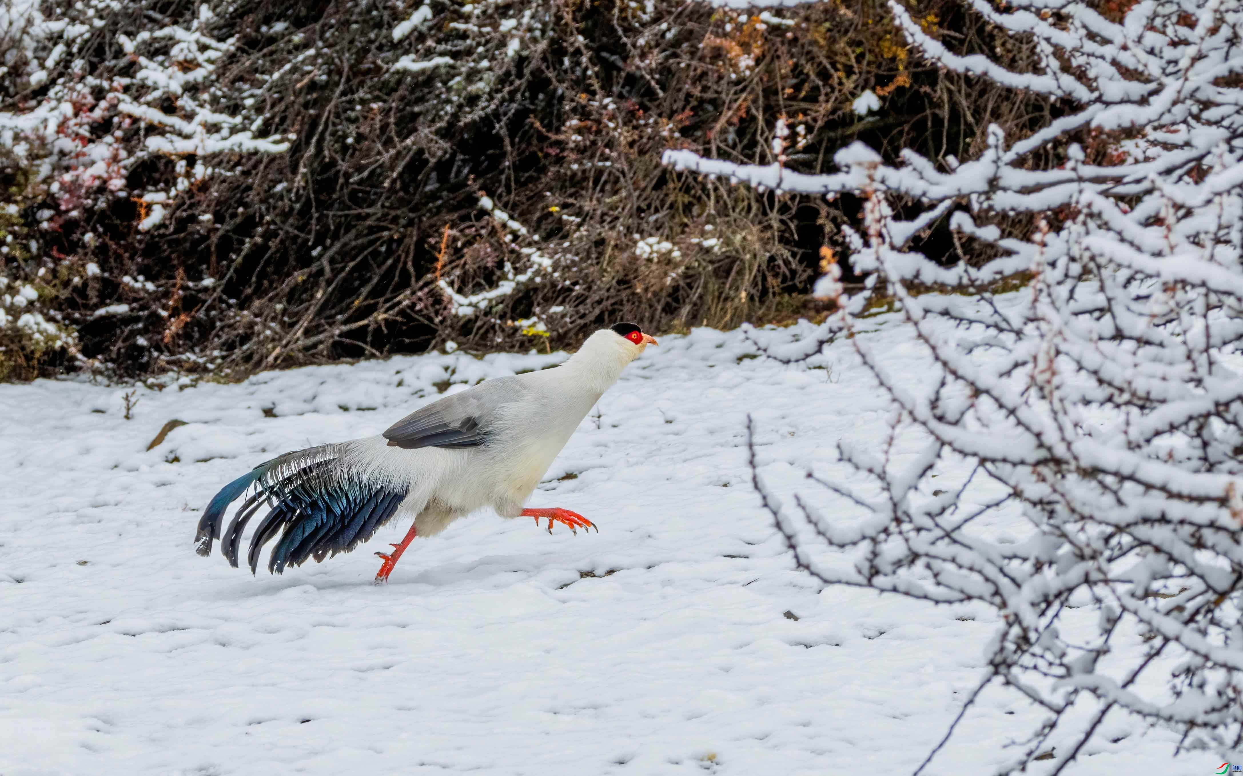 ѩ�ؼ���  ���� �ɶ��Ͻ� ��һ.jpg