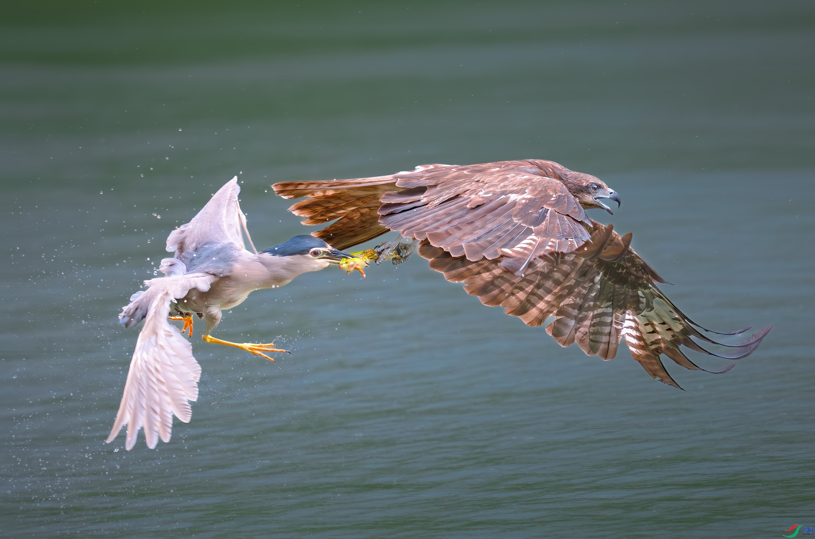 һ�϶�  ���� 춼ͷ� ��һ.jpg