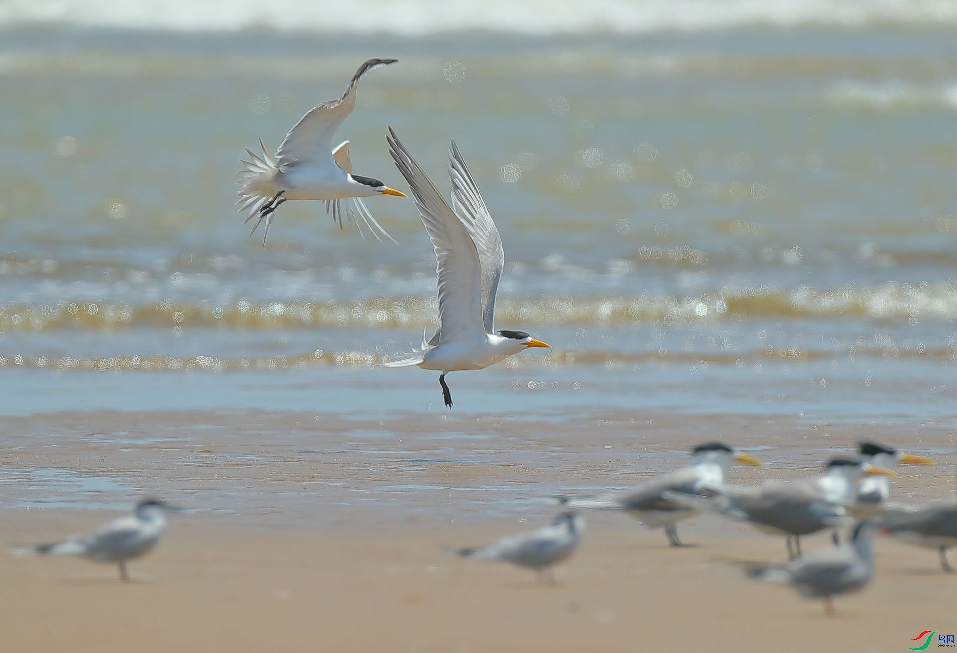 ���ͷ��Ÿ  ���� �ܶ�.jpg