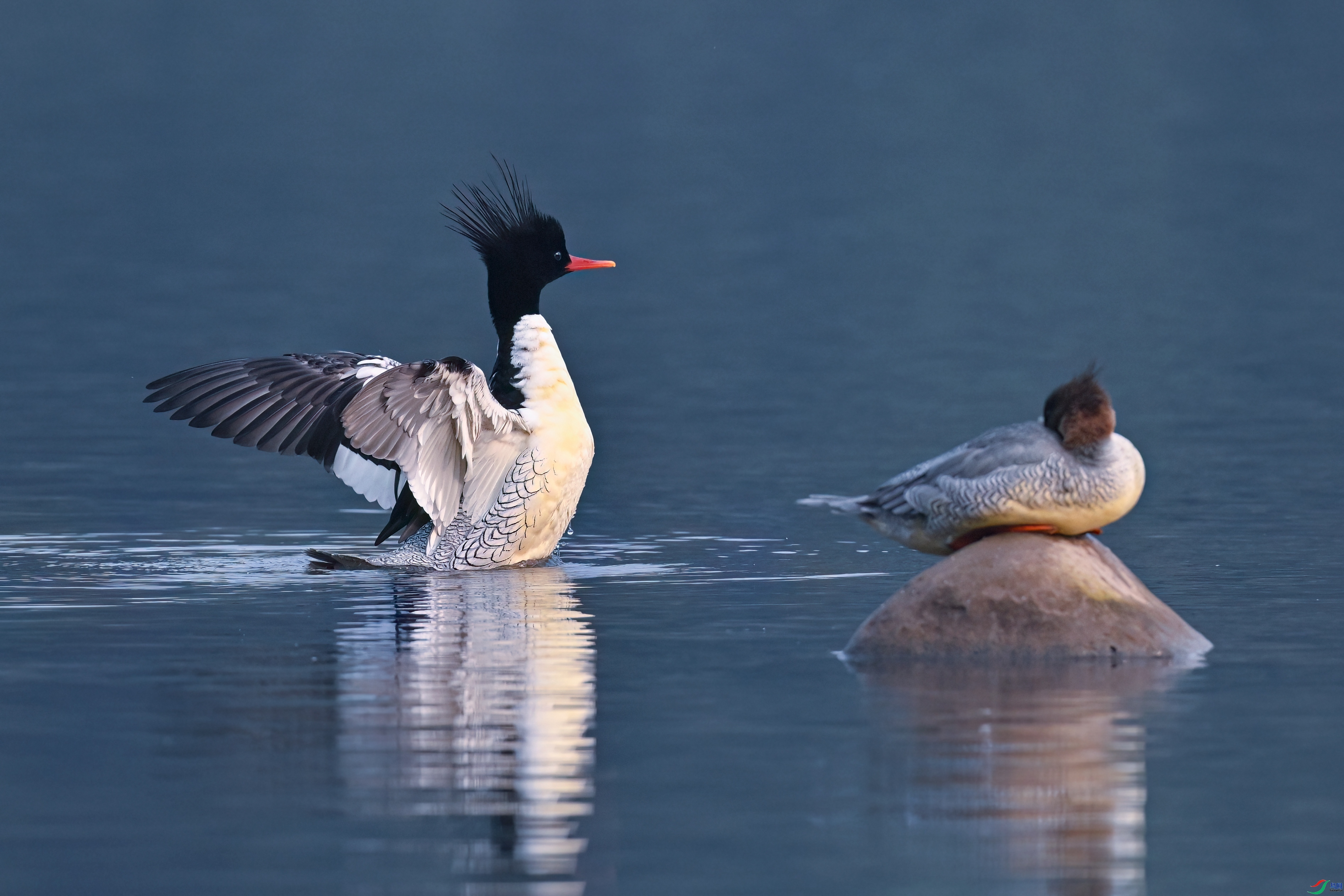 �ػ�  ���� �չ�����-����  ����.jpeg